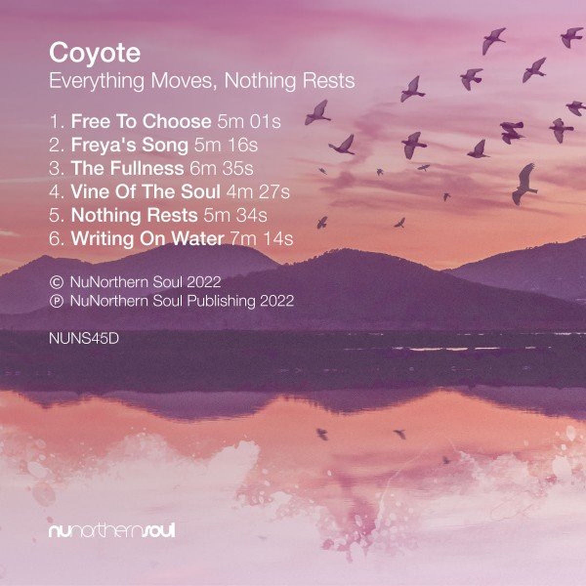 Coyote – Everything Moves, Nothing Rests vinyl cover