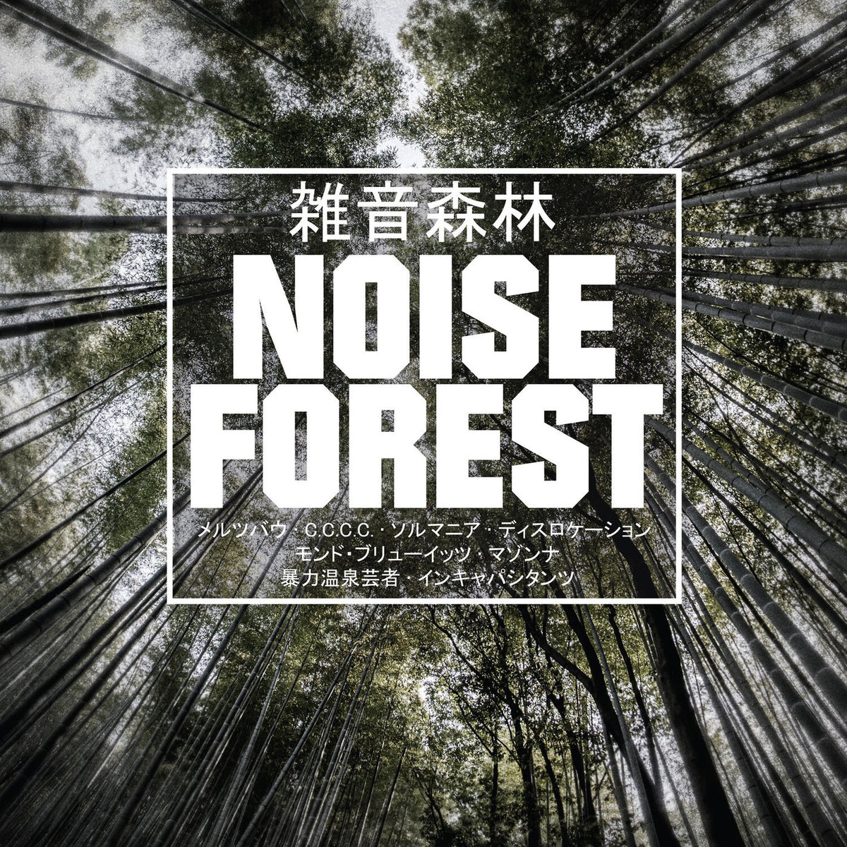 Various Artists – Noise Forest (BLACK HEAVYWEIGHT VINYL 2LP) vinyl record cover