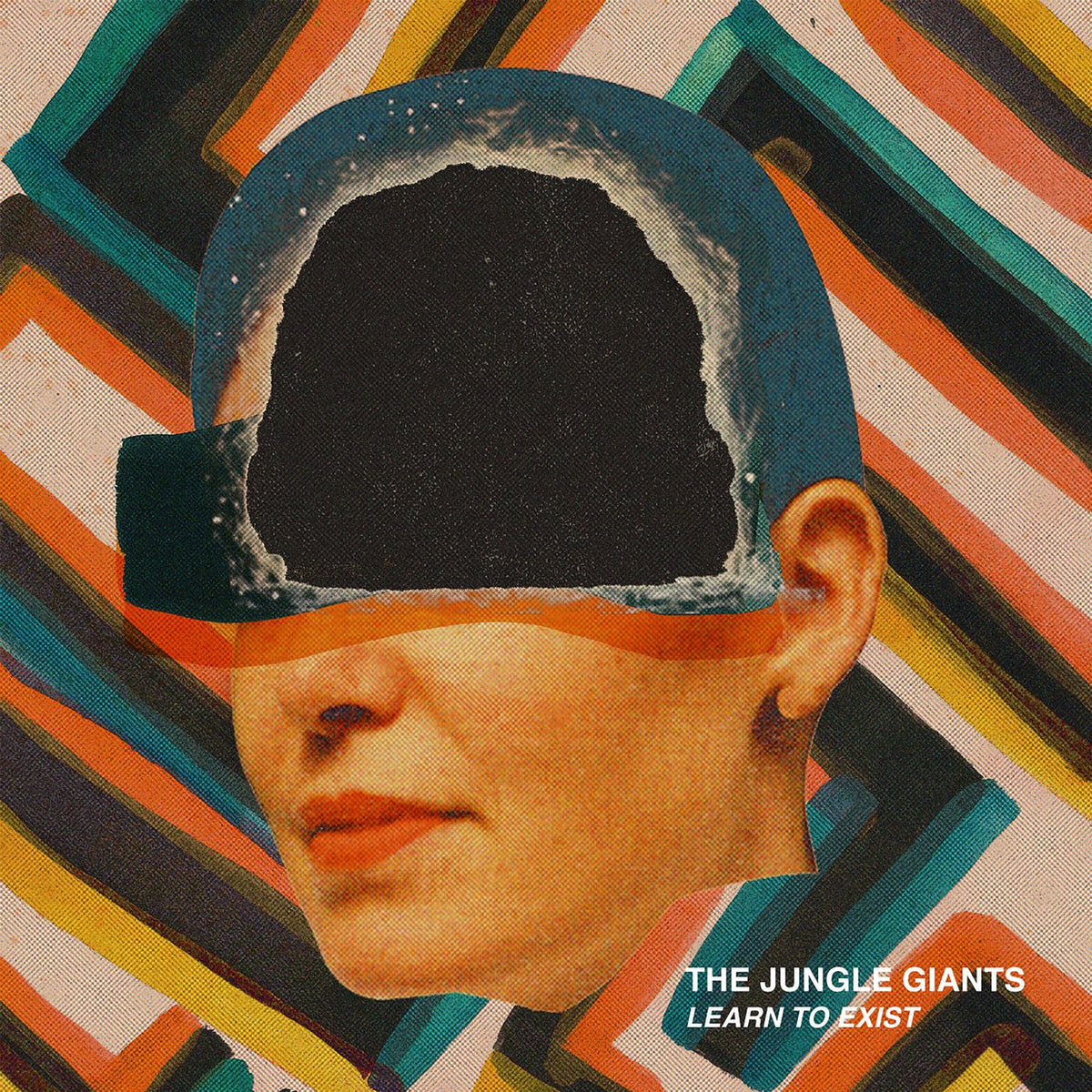 The Jungle Giants – Learn To Exist vinyl cover
