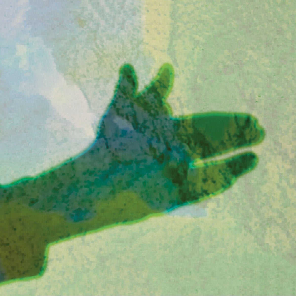Native Instrument – Camo vinyl cover