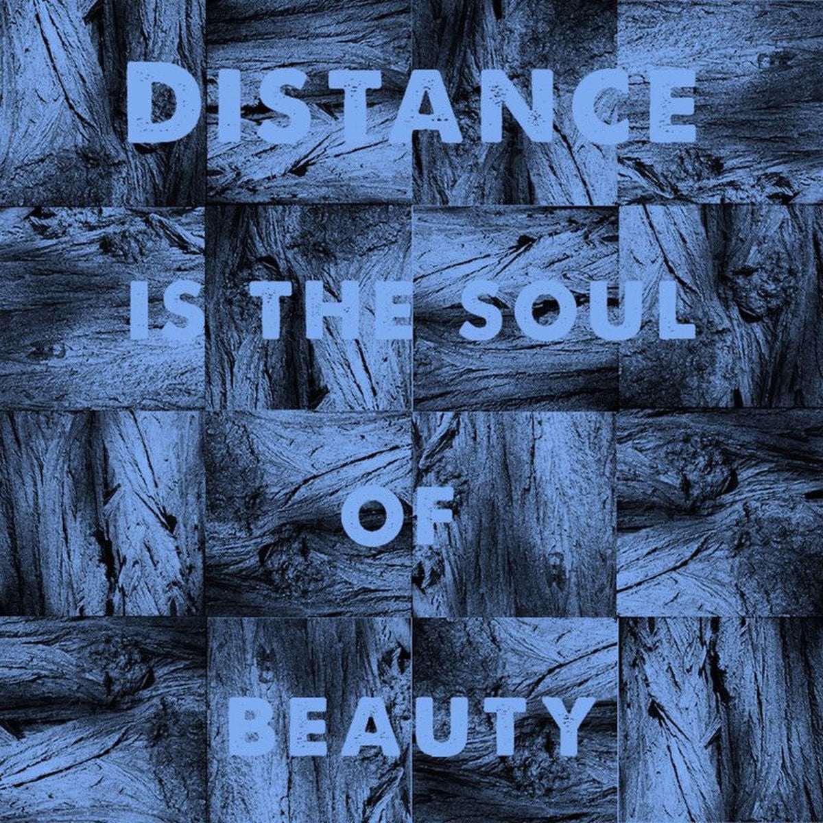 Michael J. Sheehy – Distance Is the Soul of Beauty vinyl record cover