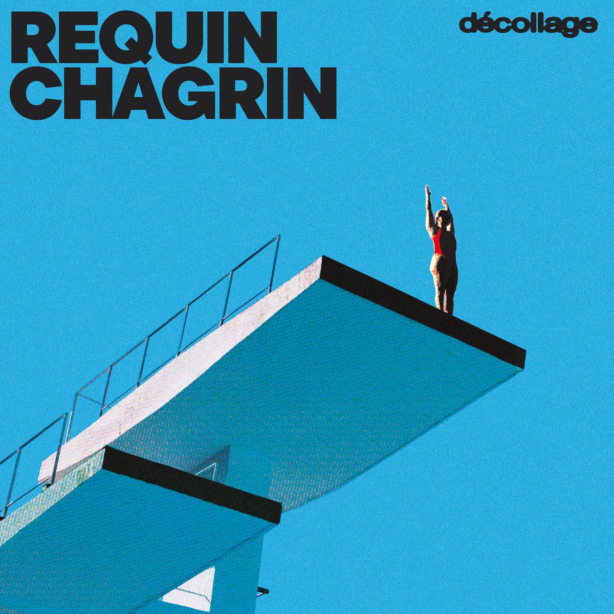 Requin Chagrin – Decollage vinyl record cover