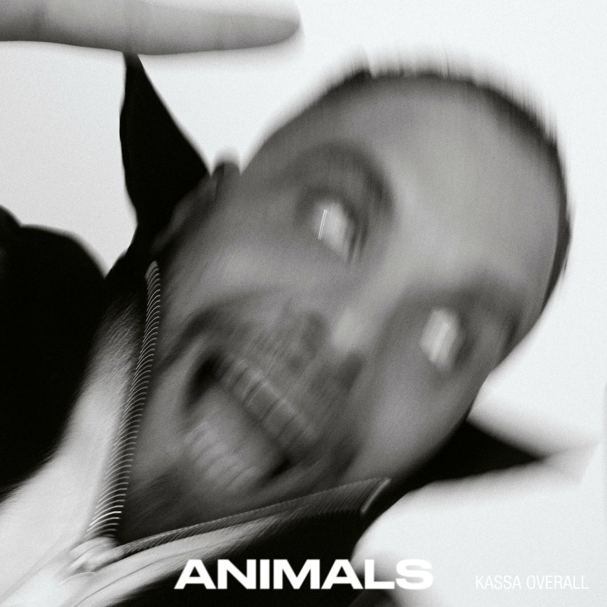 Kassa Overall – Animals vinyl record cover
