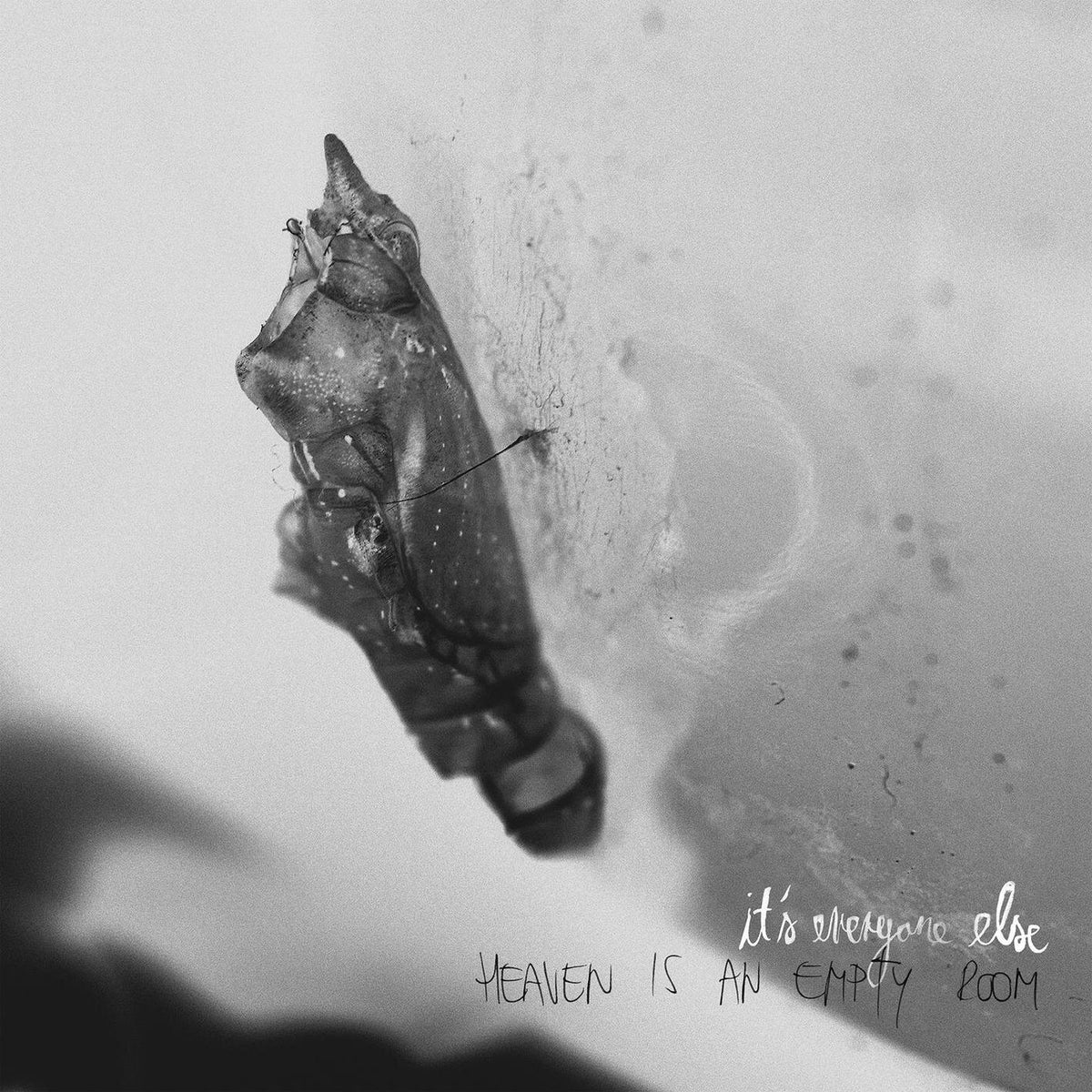 Its Everyone Else – Heaven Is An Empty Room vinyl record cover