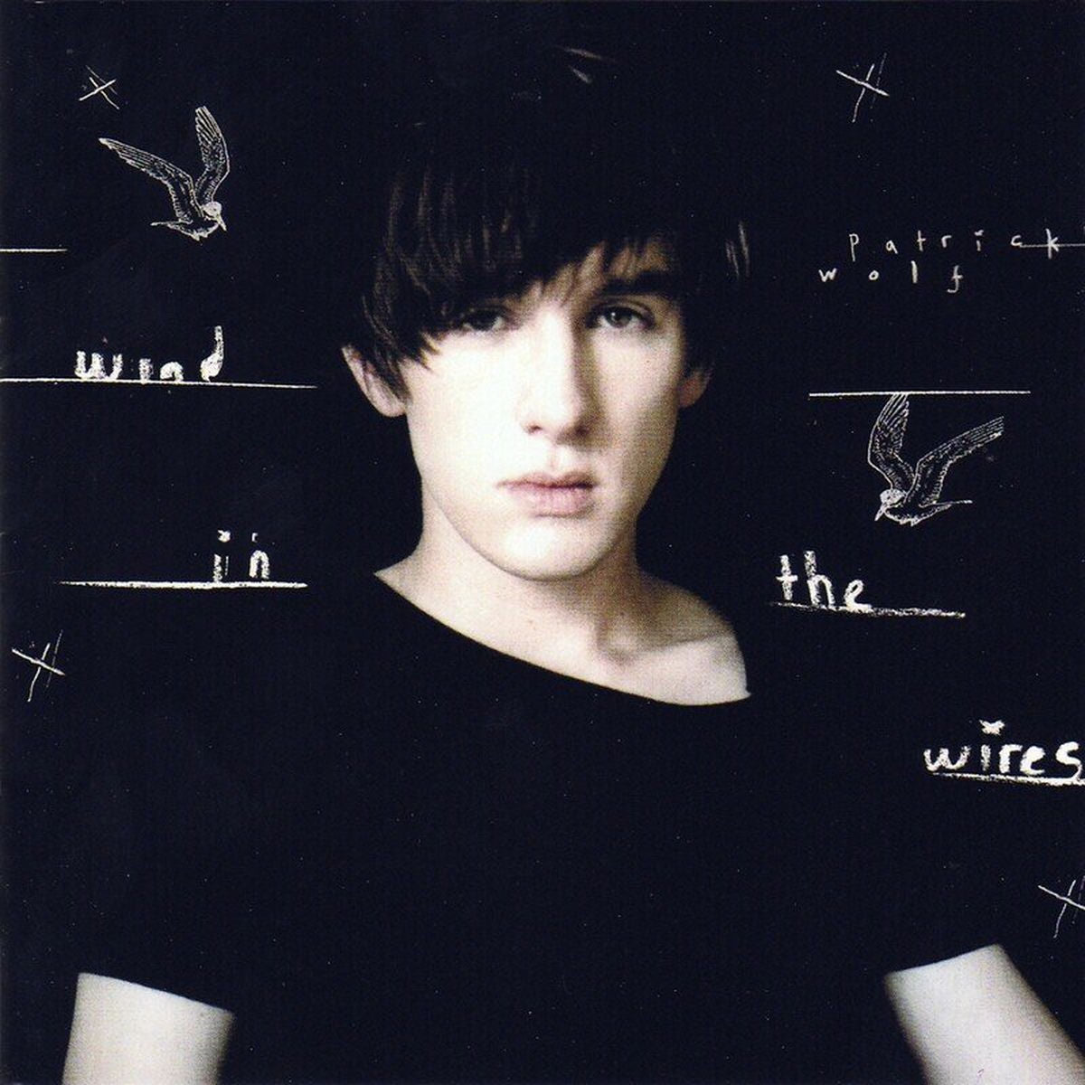 Patrick Wolf – Wind in the Wires vinyl cover
