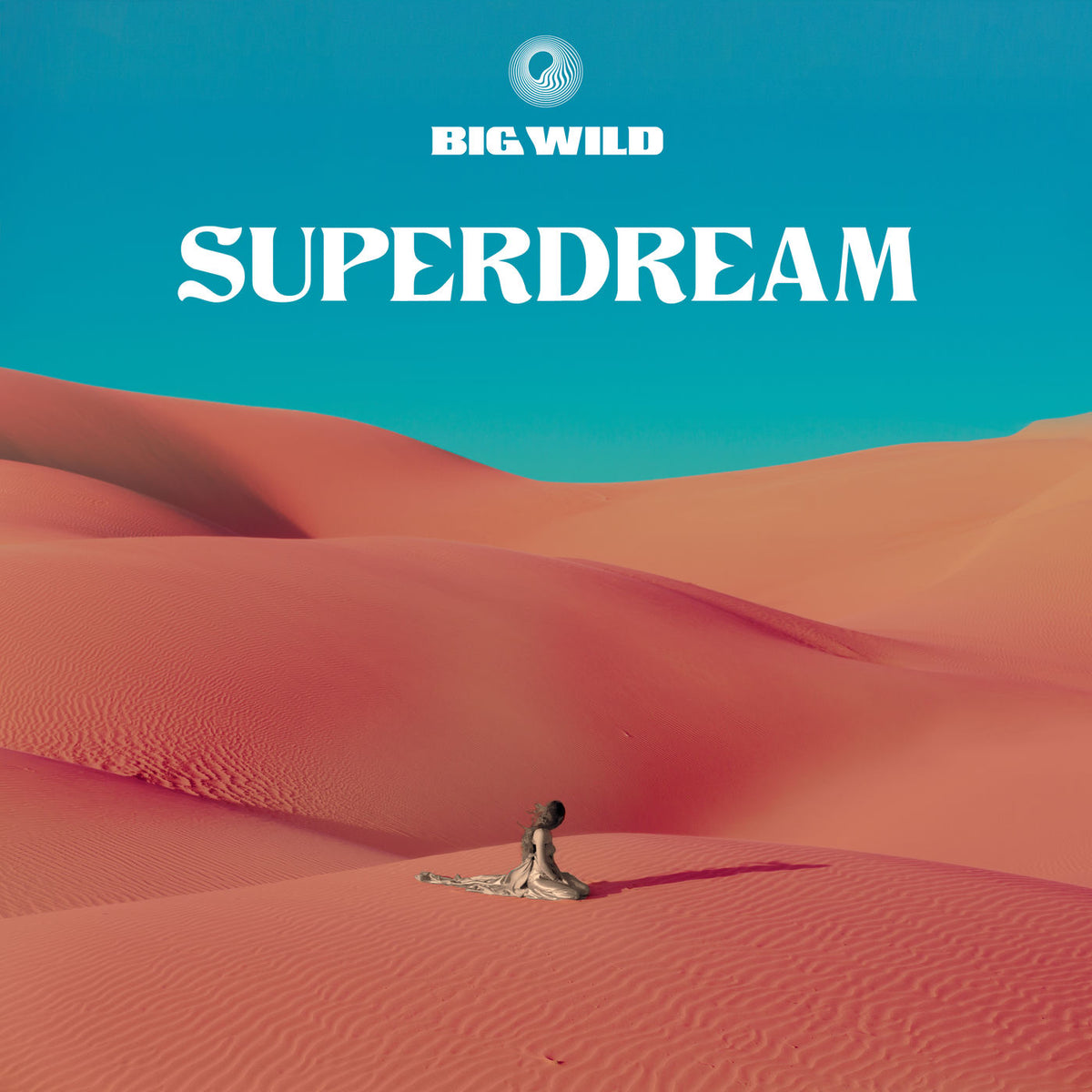 Big Wild – Superdream vinyl record cover