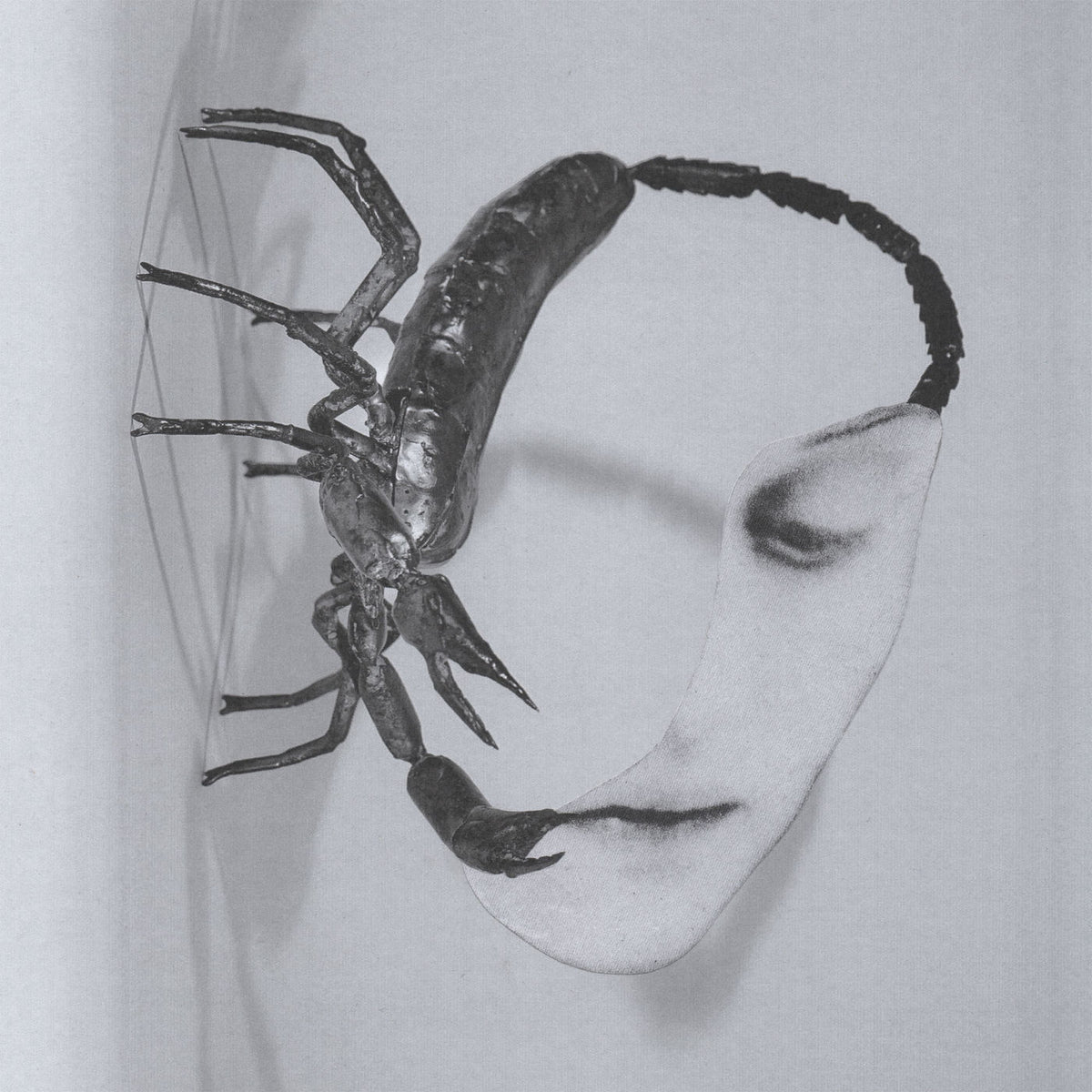 Tortoise – Touch vinyl record cover