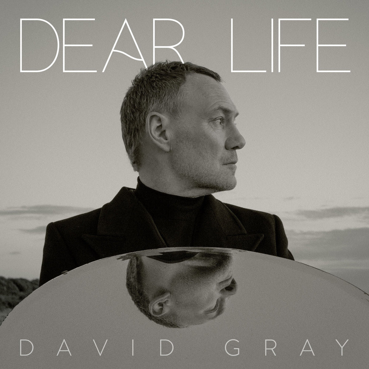 David Gray – Dear Life vinyl record cover
