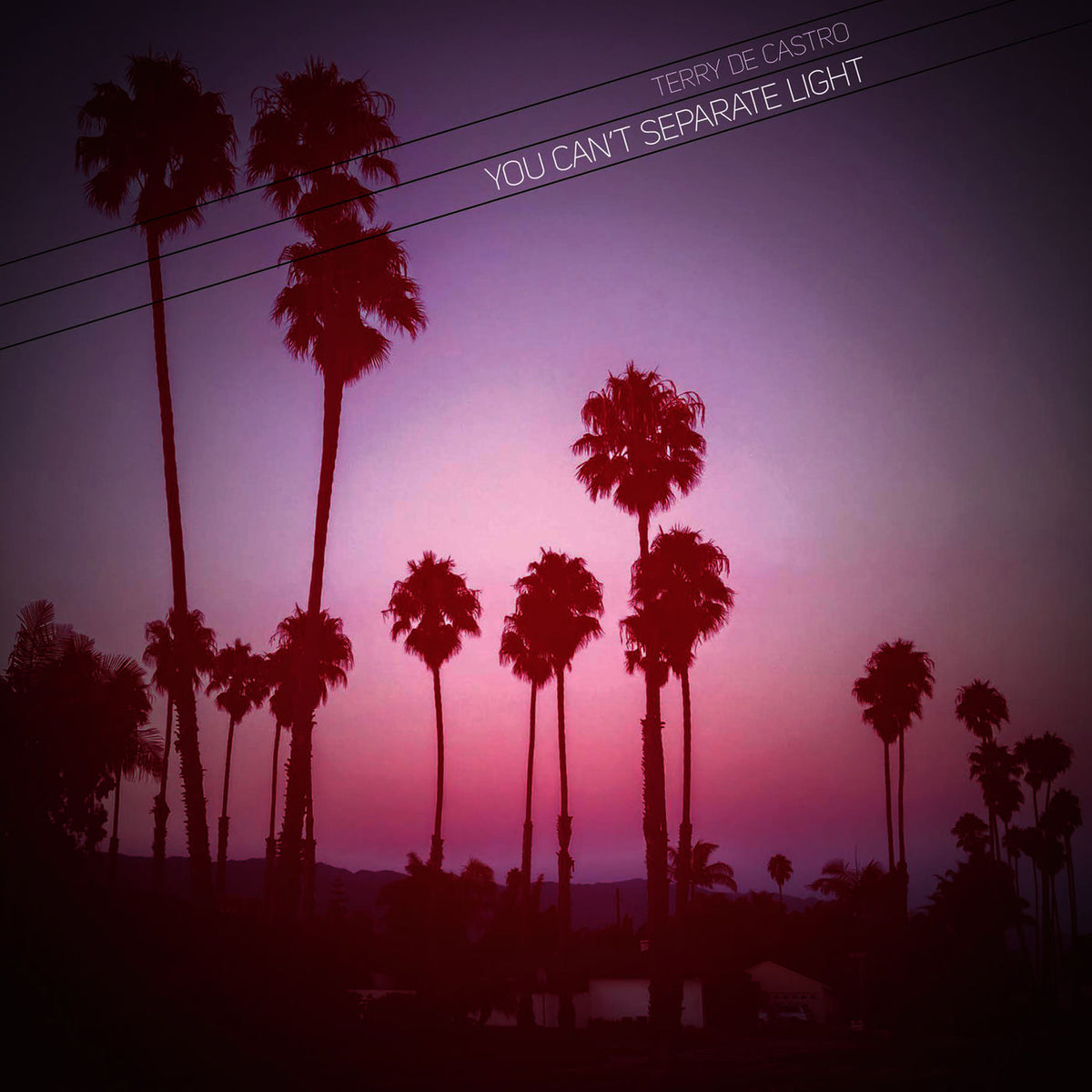 Terry de Castro – You Can't Separate Light — record image 1