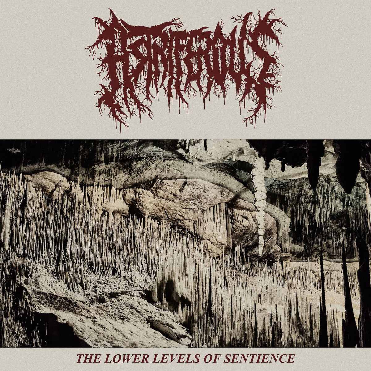 Astriferous – The Lower Levels Of Sentience vinyl cover