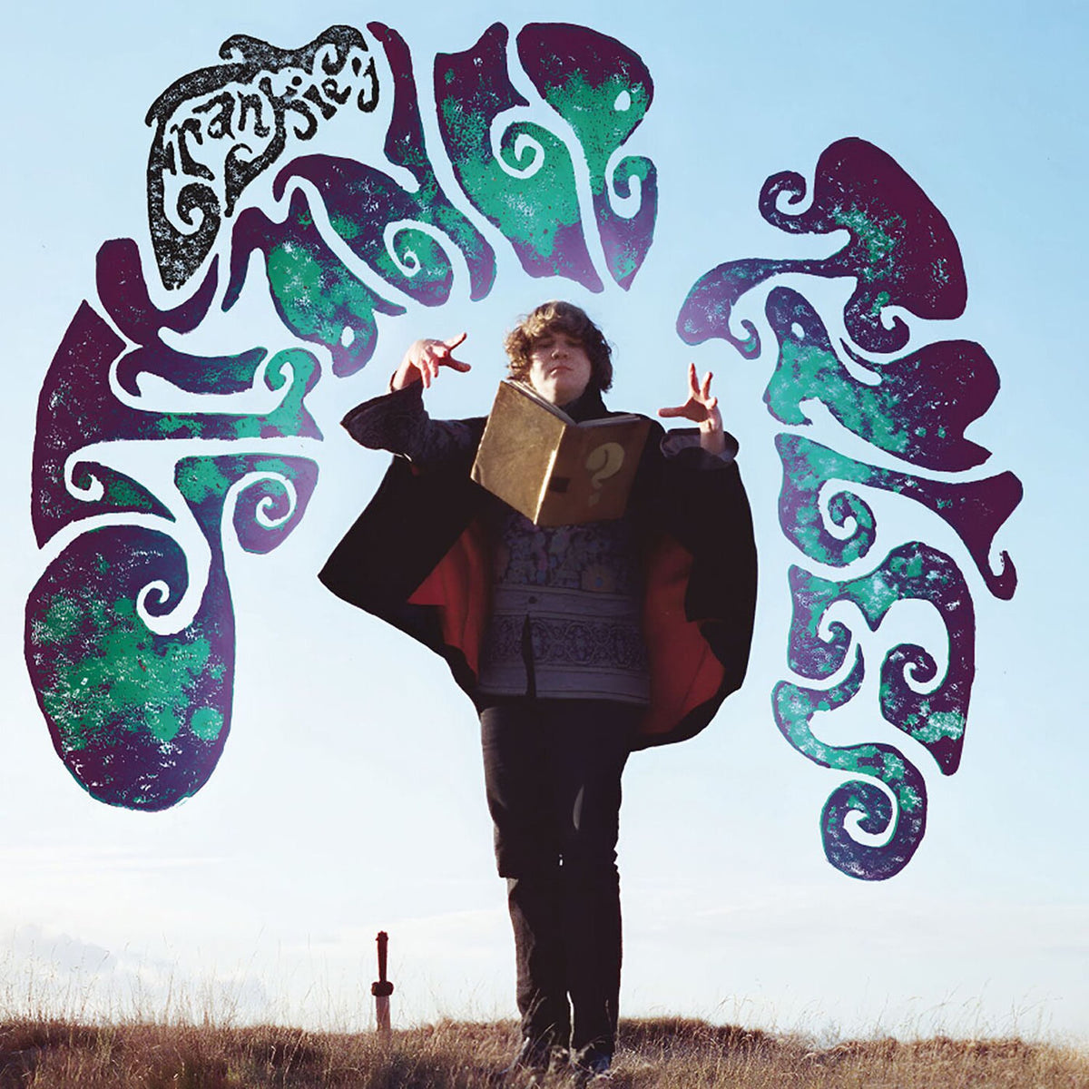 Frankie – Strange Tales vinyl record cover