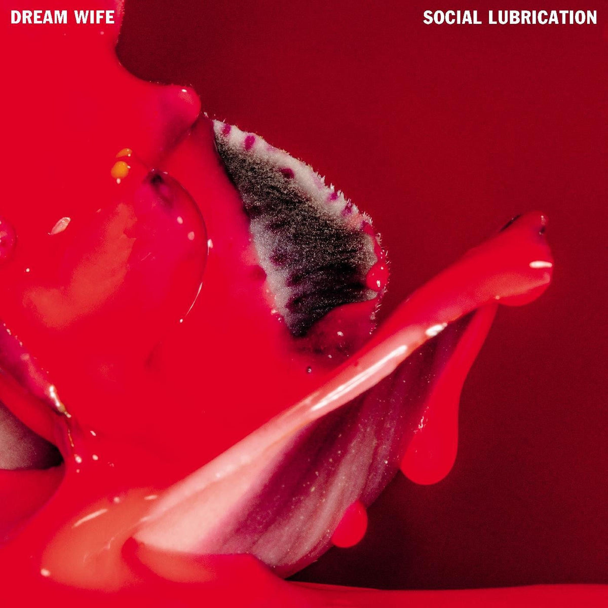 Dream Wife – Social Lubrication vinyl record cover