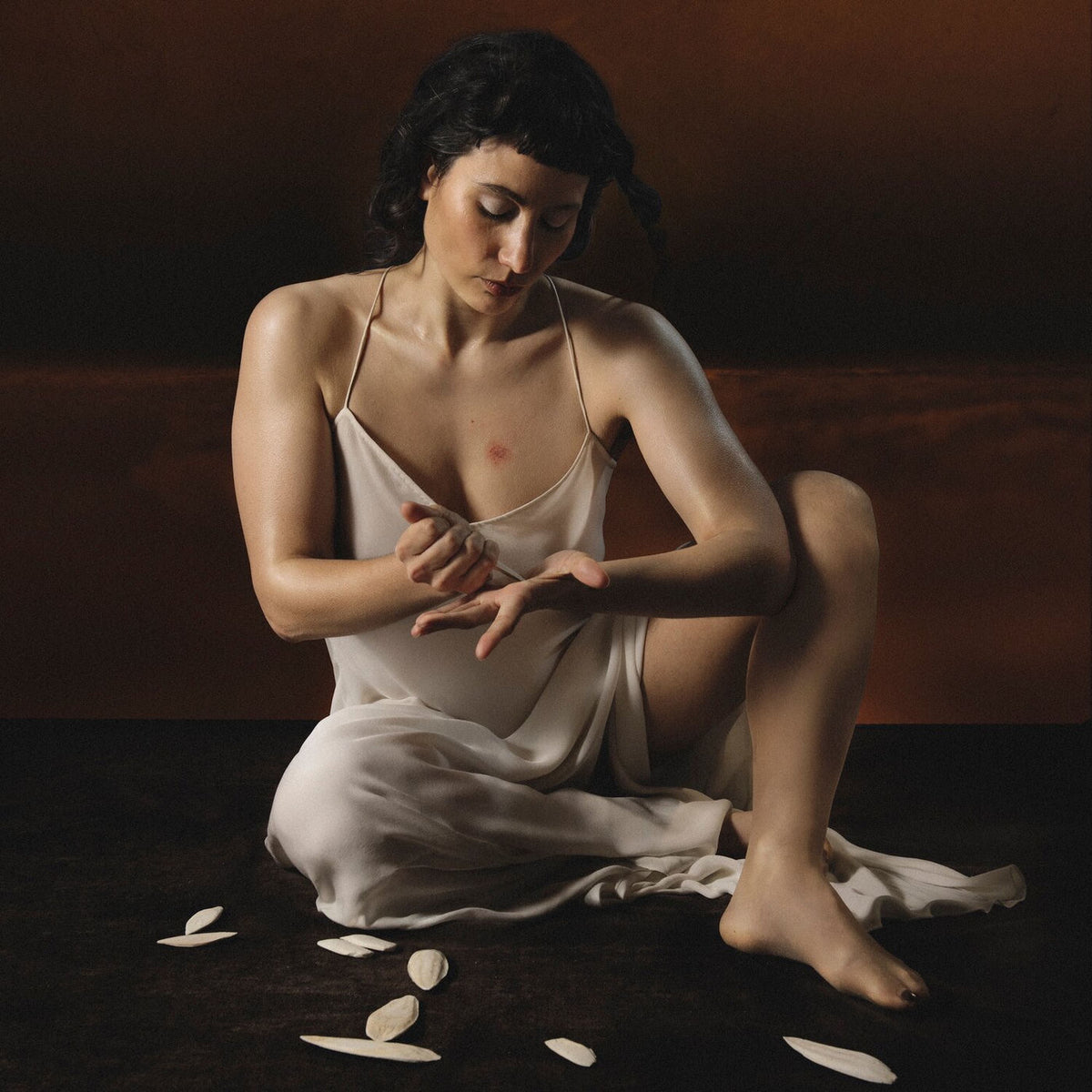 Lisel – The Vanishing Point vinyl record cover