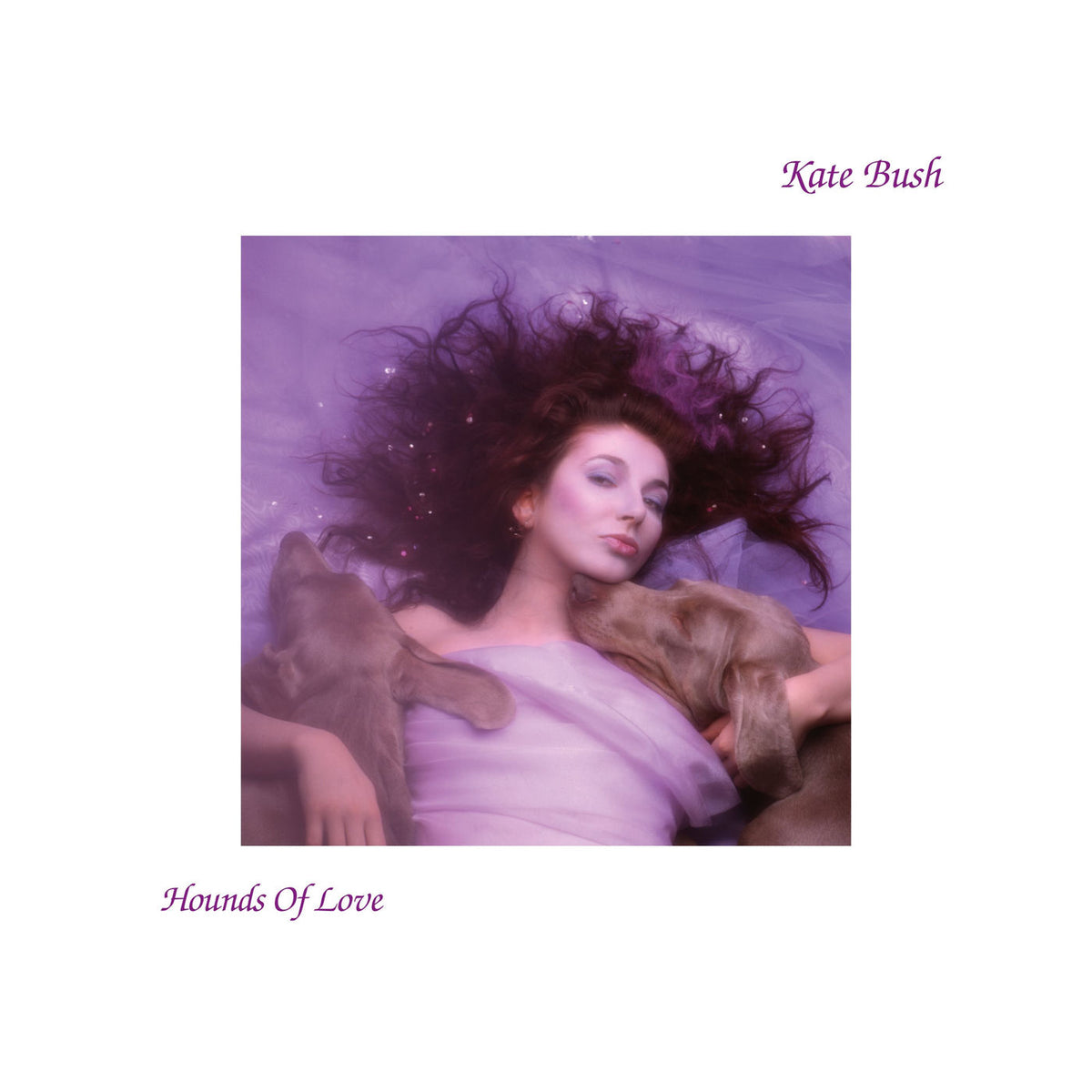 Kate Bush – Hounds of Love (Coloured Vinyl) vinyl record cover