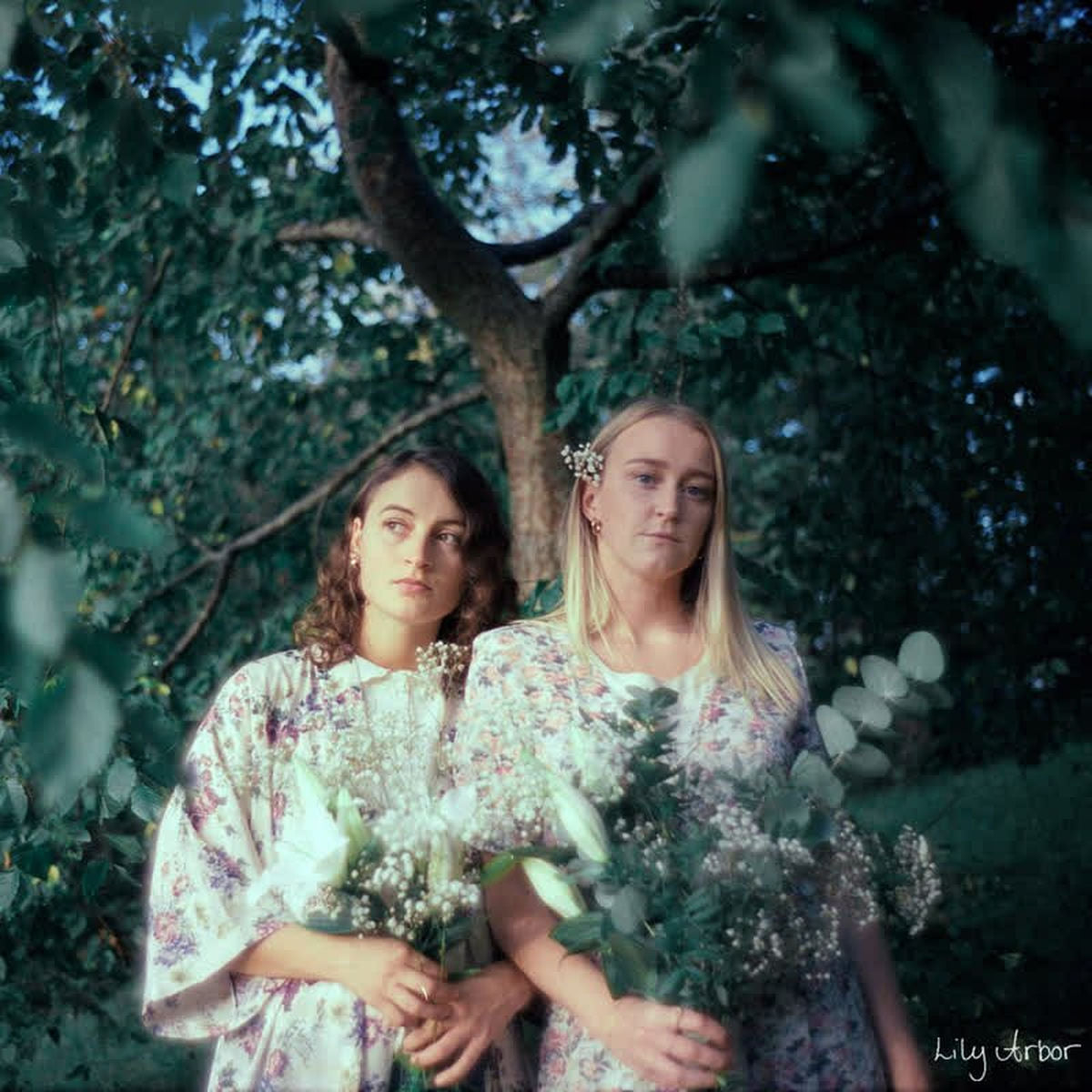 Lily Arbor – Lily Arbor vinyl record cover