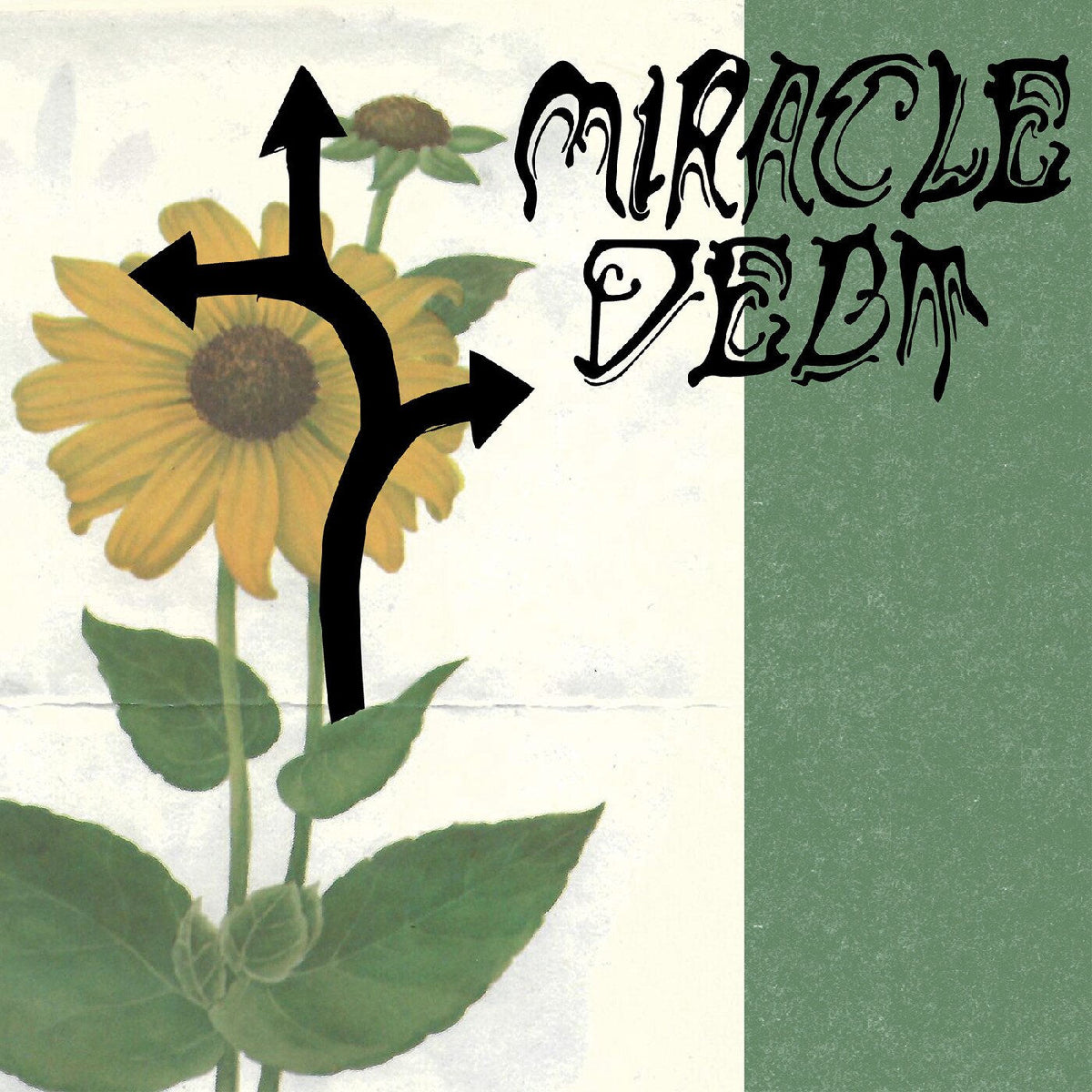 Miracle Debt – Under The Shadow vinyl record cover