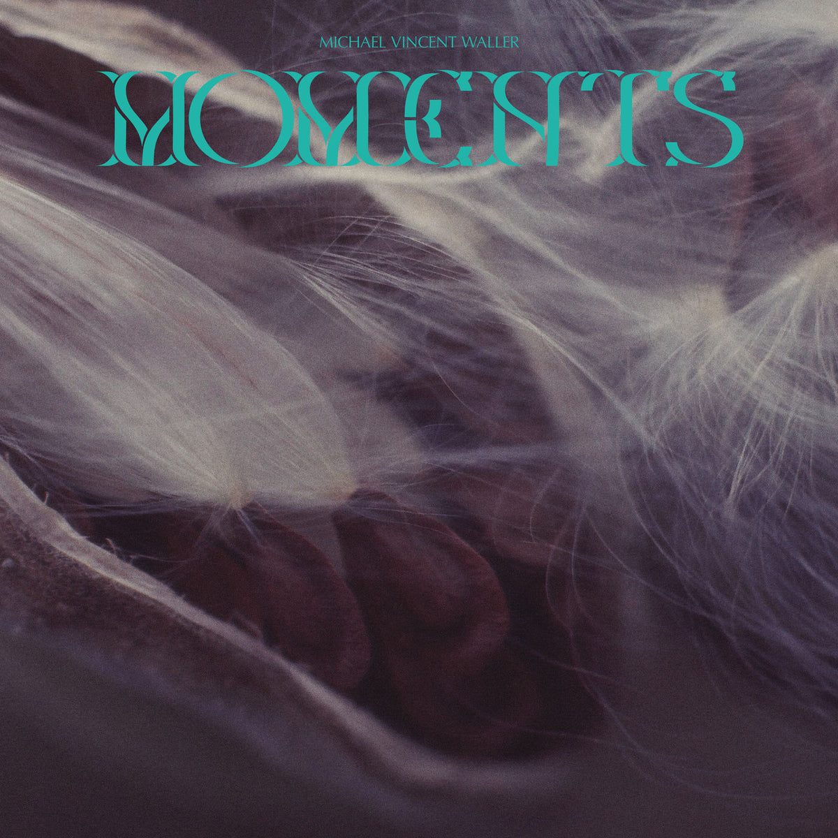 Michael Vincent Waller – Moments vinyl record cover