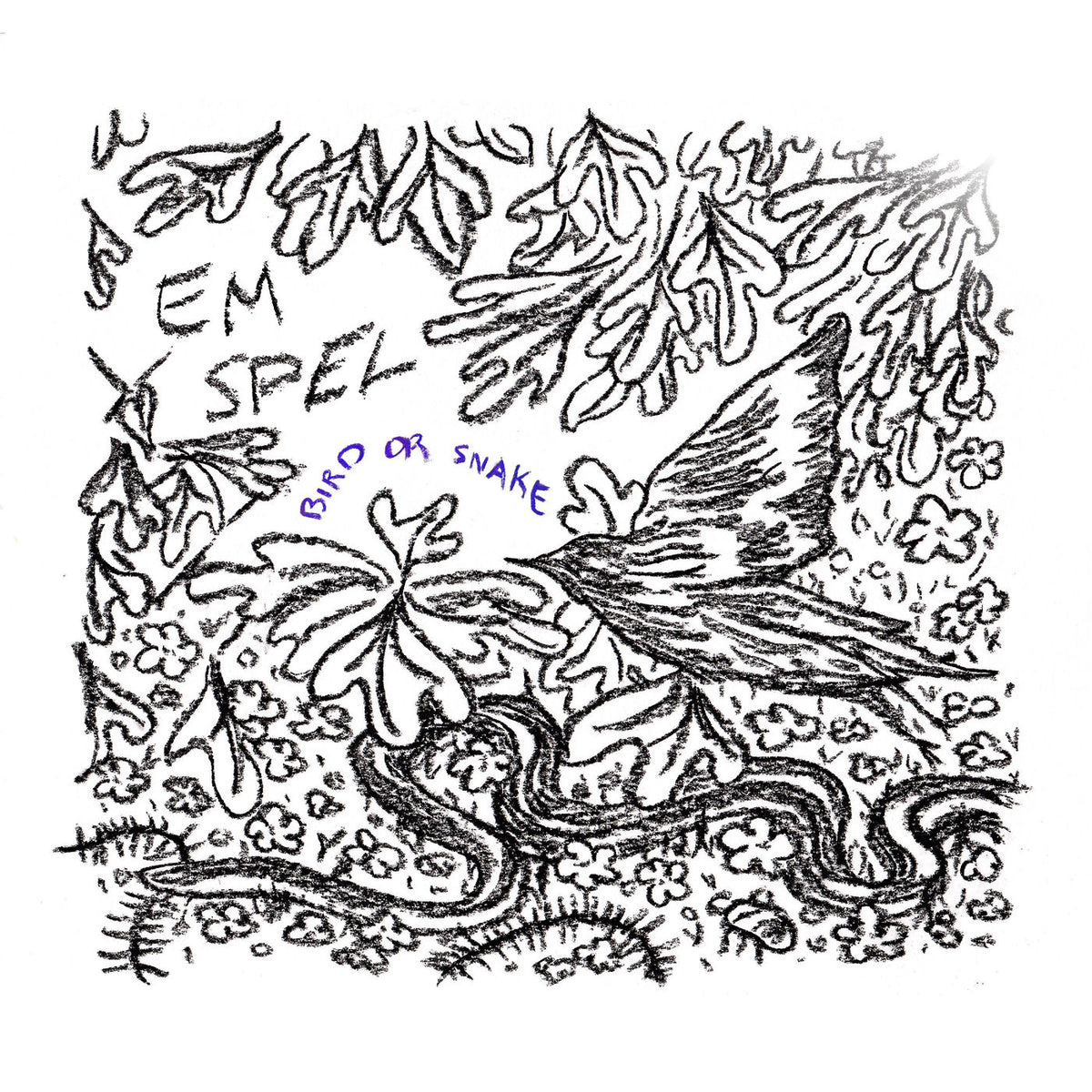 Em Spel – Bird Or Snake vinyl record cover