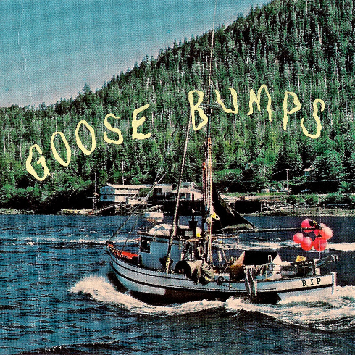 Boyscott – Goose Bumps vinyl record cover