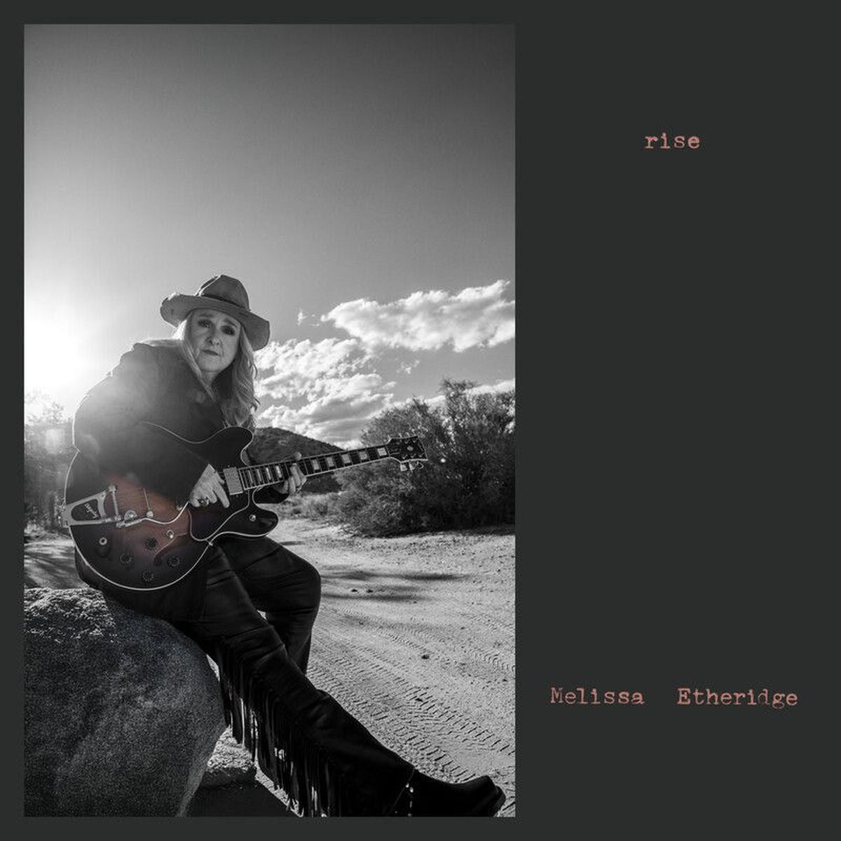 Melissa Etheridge – Rise vinyl record cover