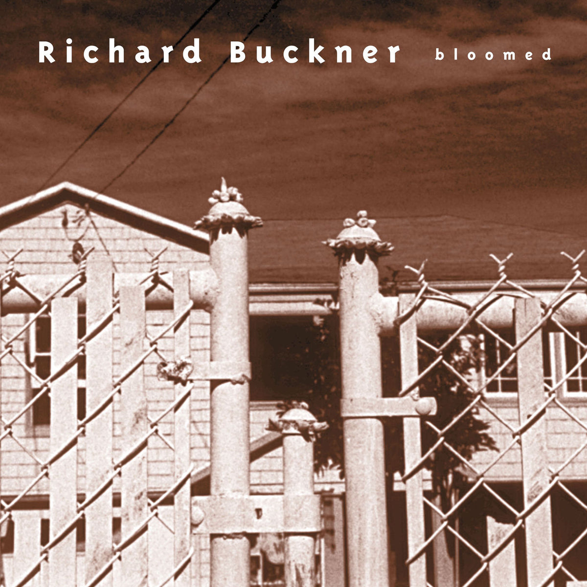 Richard Buckner – Bloomed (Remastered) vinyl cover