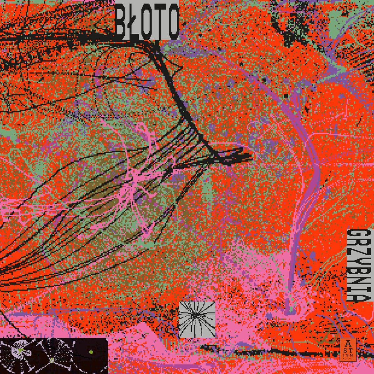 Bloto – Grzybnia vinyl record cover