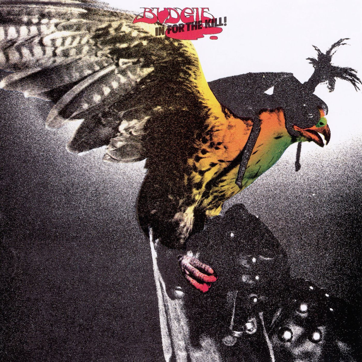 Budgie – In for the Kill (1974) (Picture Disc) vinyl record cover