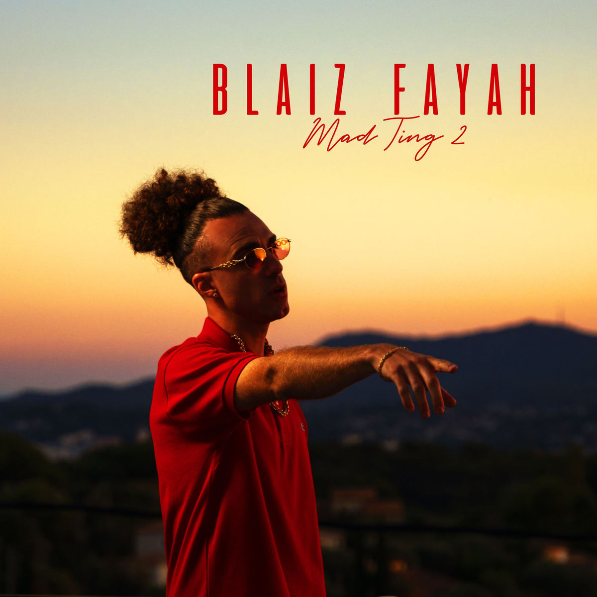 Blaiz Fayah – Mad Ting 2 vinyl cover