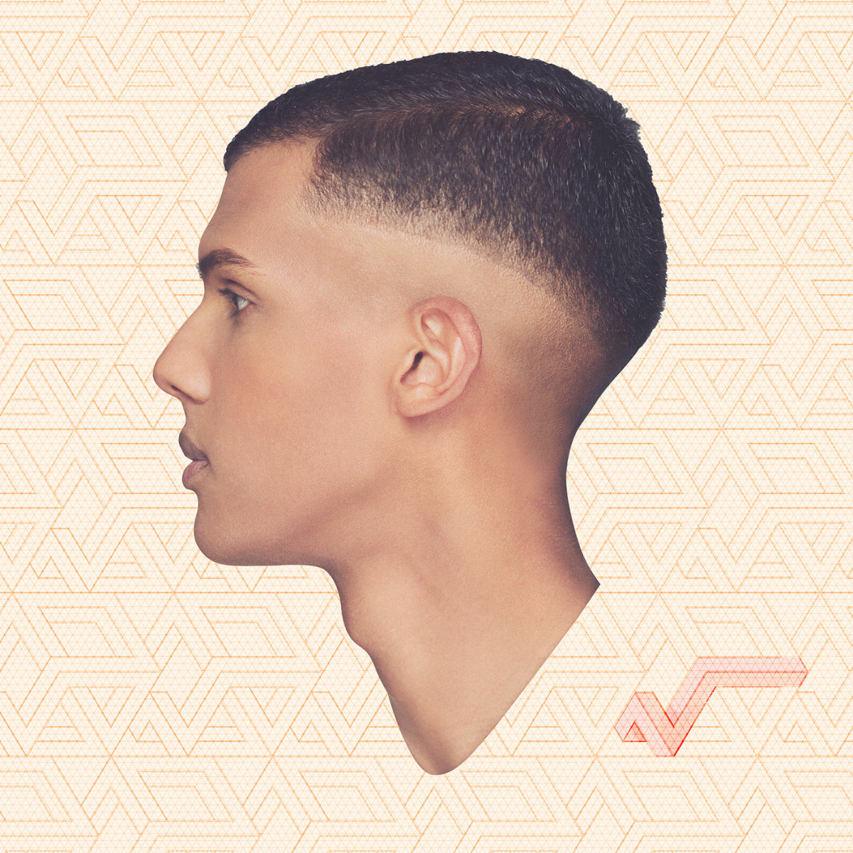 Stromae – racine carrée vinyl cover