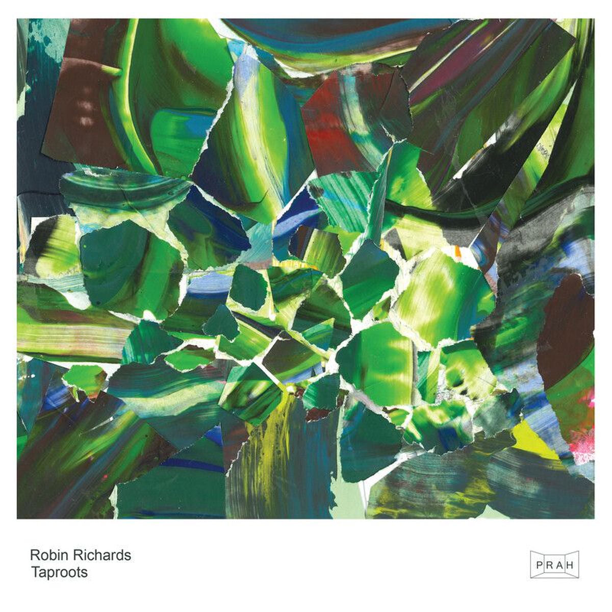 Robin Richards – Taproots vinyl record cover