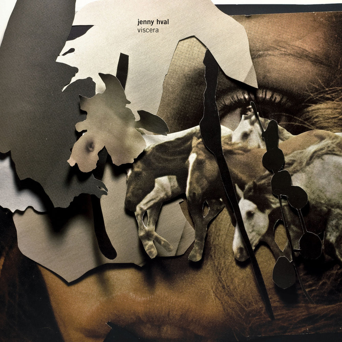 Jenny Hval – Viscera vinyl cover