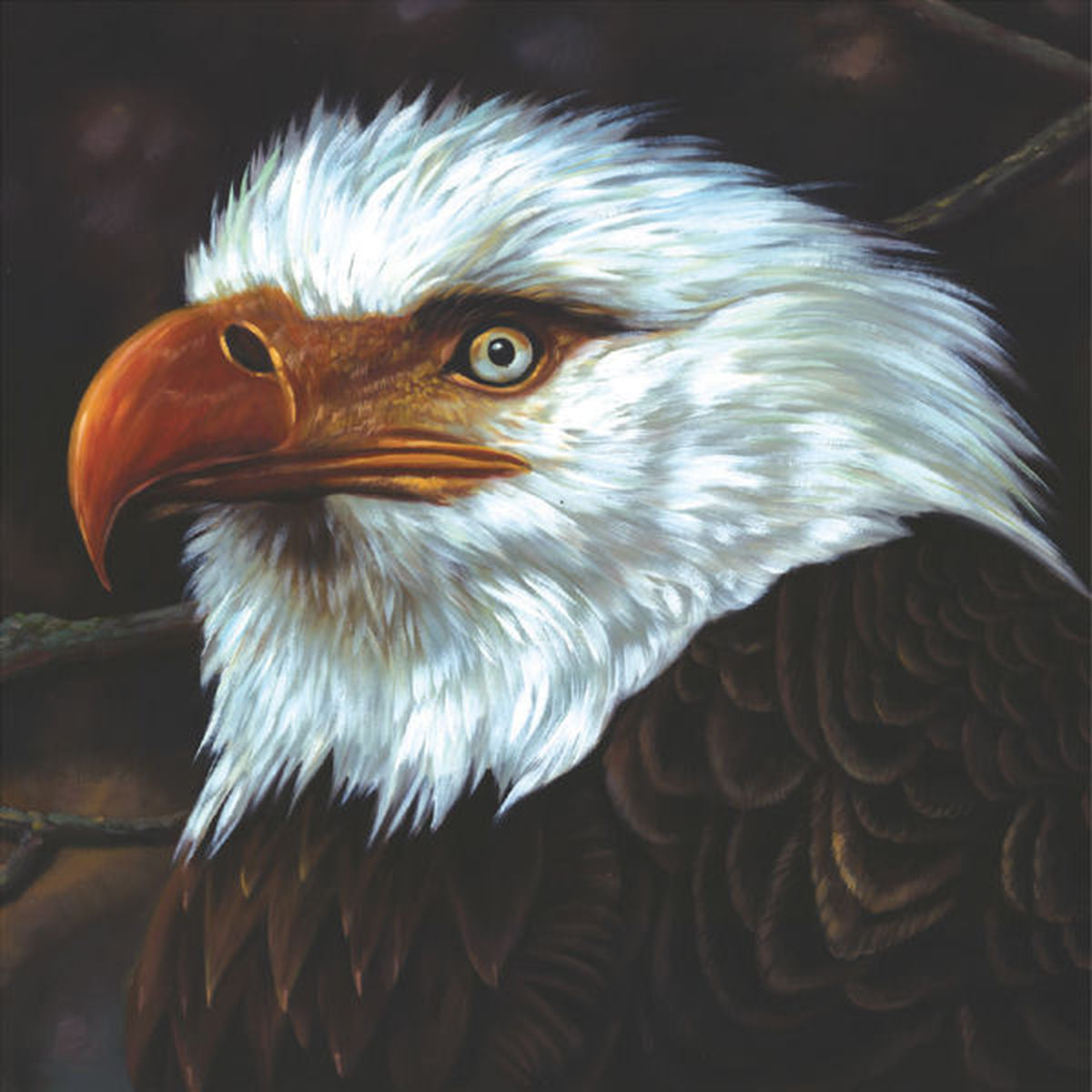 Mogwai – The Hawk Is Howling vinyl record cover