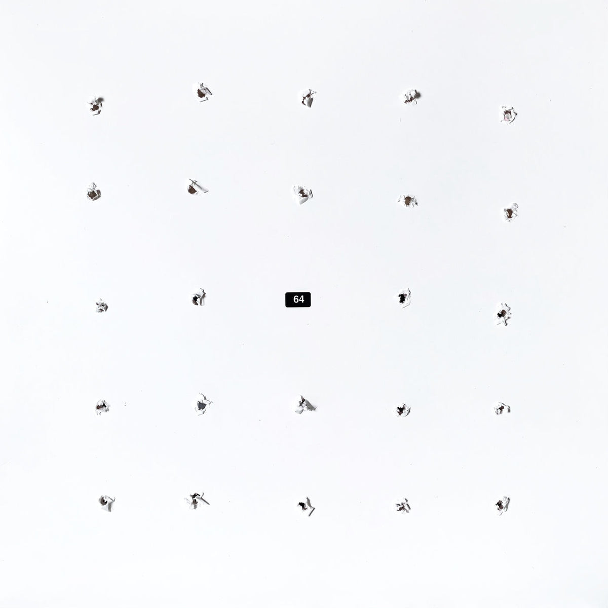 Ian William Craig & Kago – Split Series 24 vinyl record cover