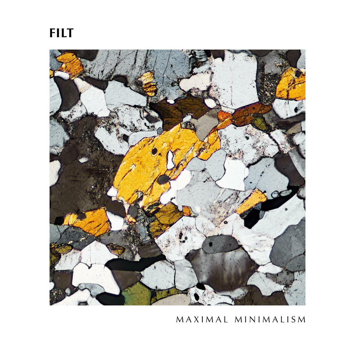 Filt – Maximal Minimalism vinyl record cover
