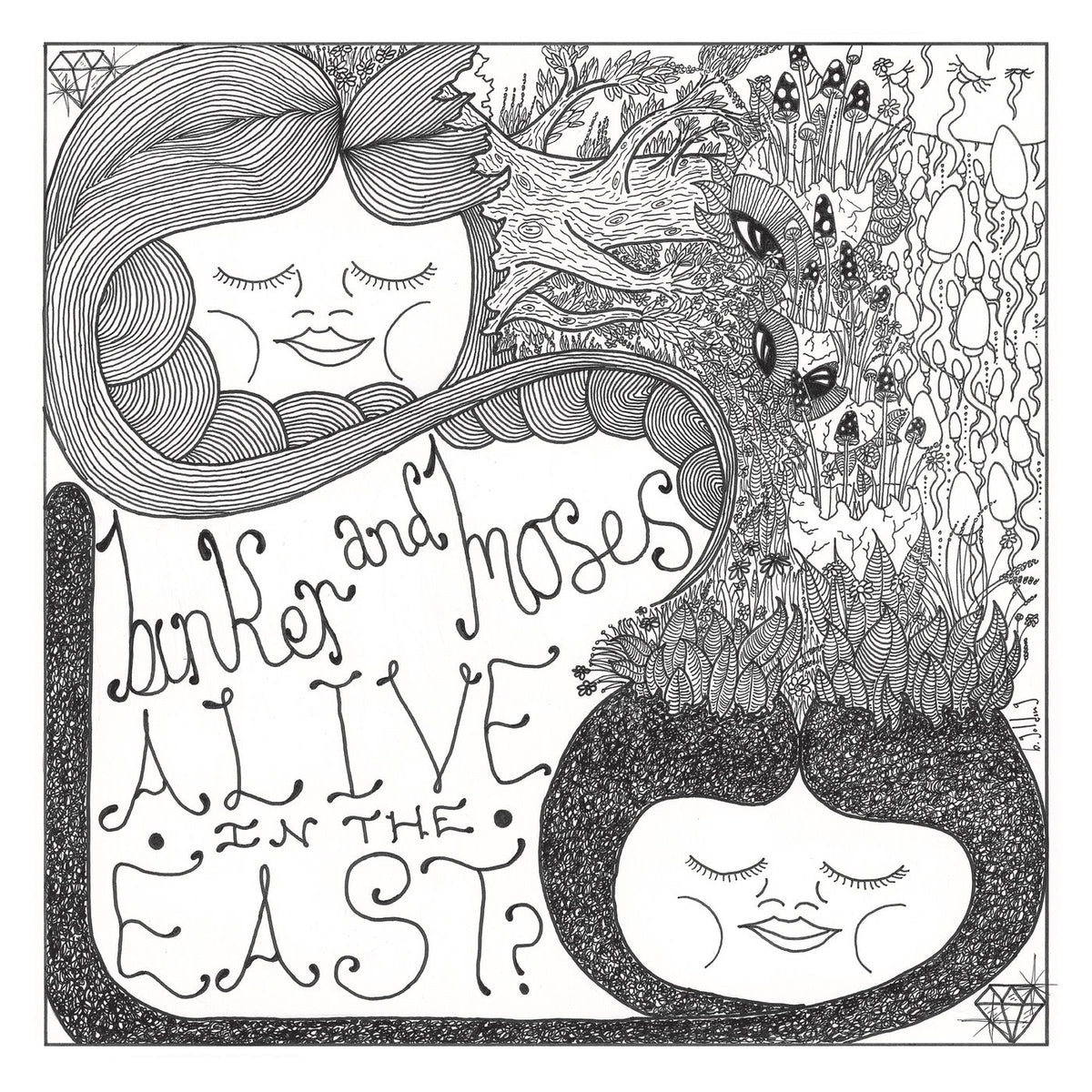 Binker And Moses – Alive In The East? vinyl record cover