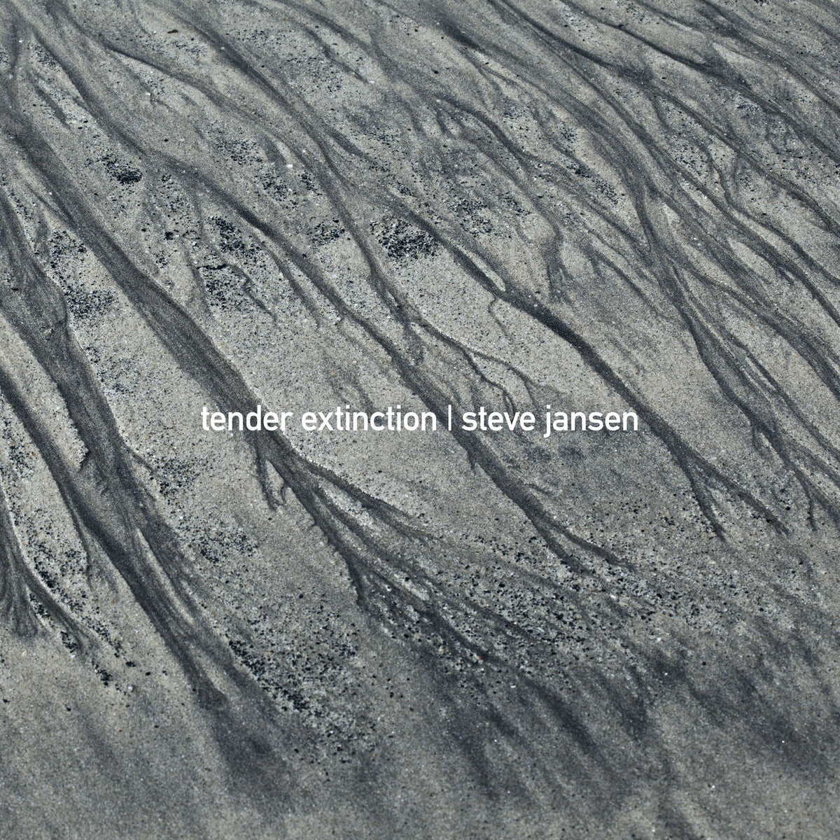 Steve Jansen – Tender Extinction vinyl cover