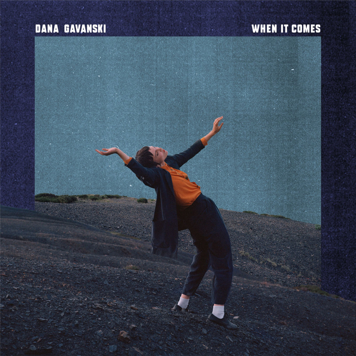 Dana Gavanski – When It Comes vinyl record cover