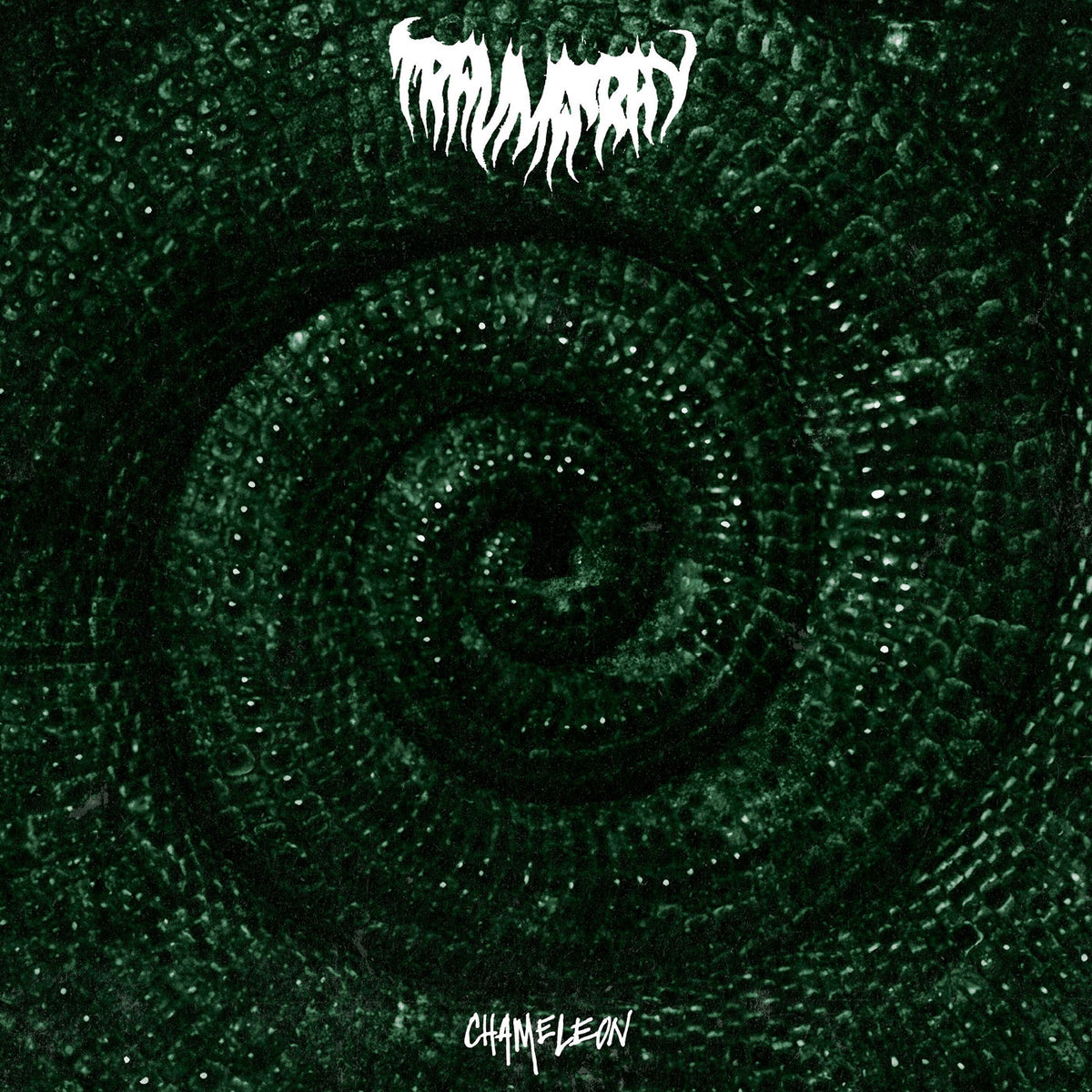 Trauma Ray – Chameleon vinyl record cover