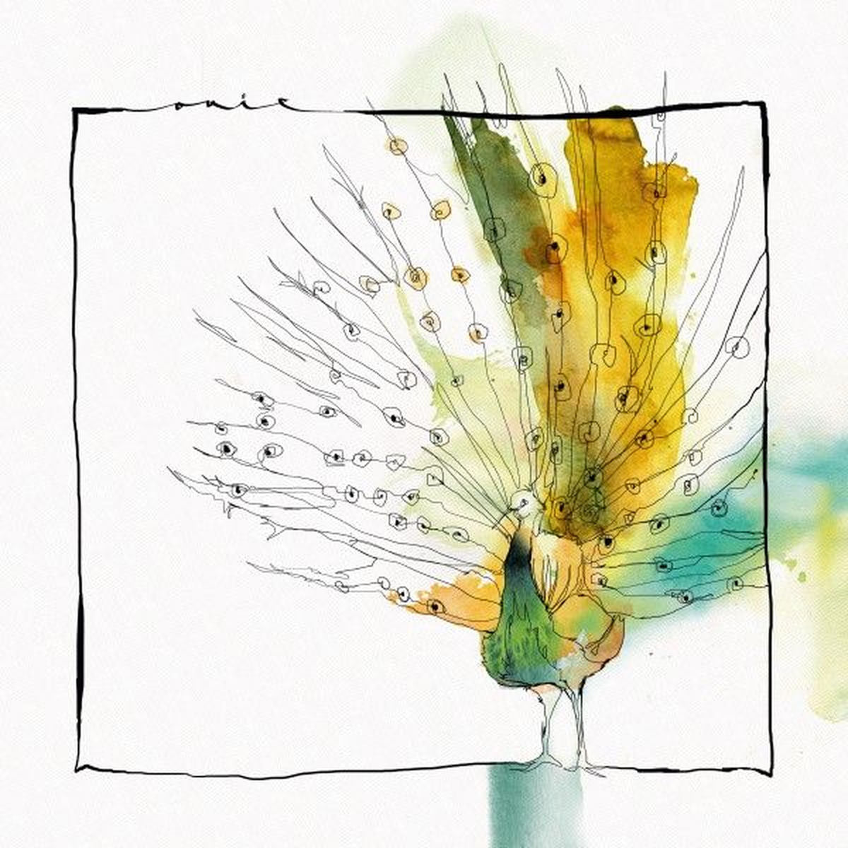 Tooker – Nang'o vinyl cover