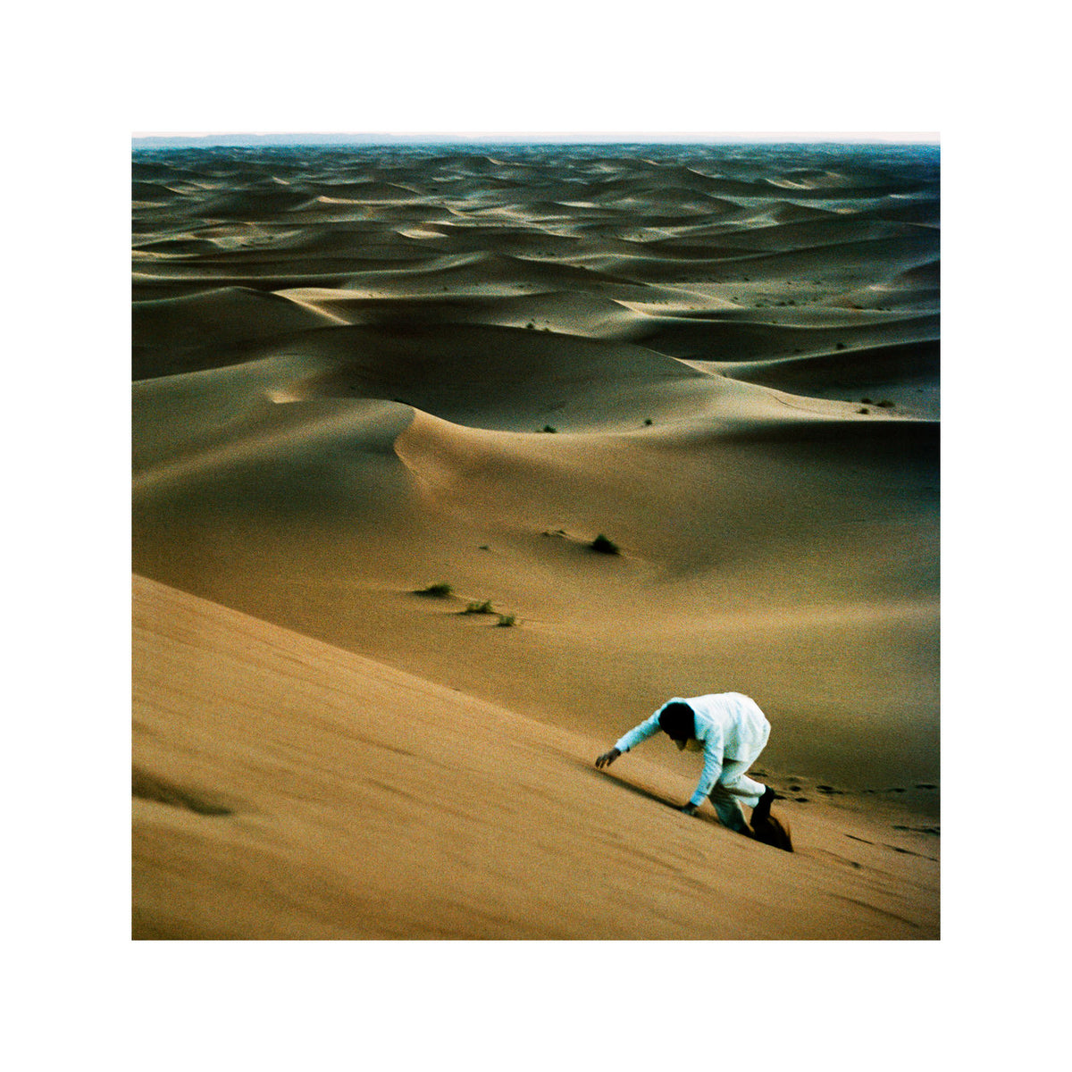 Baxter Dury – Prince of Tears vinyl record cover