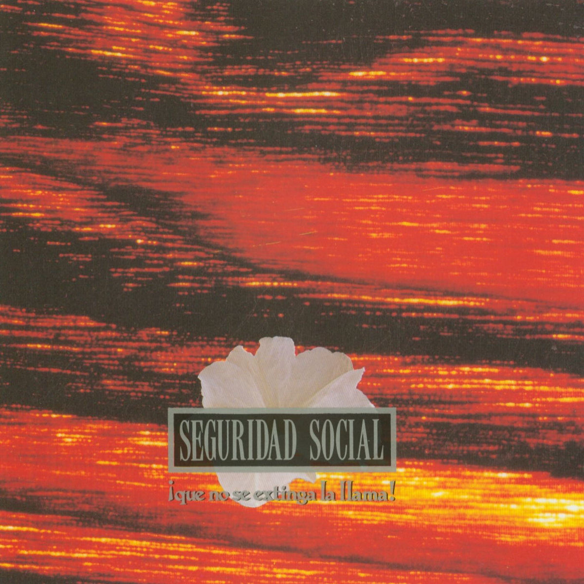 Seguridad Social – Que No Se Extinga La Llama vinyl record cover