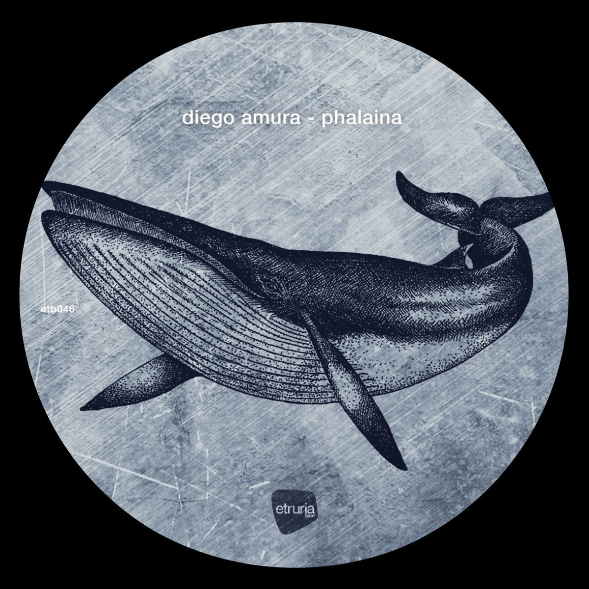 Diego Amura – Phalaina vinyl cover