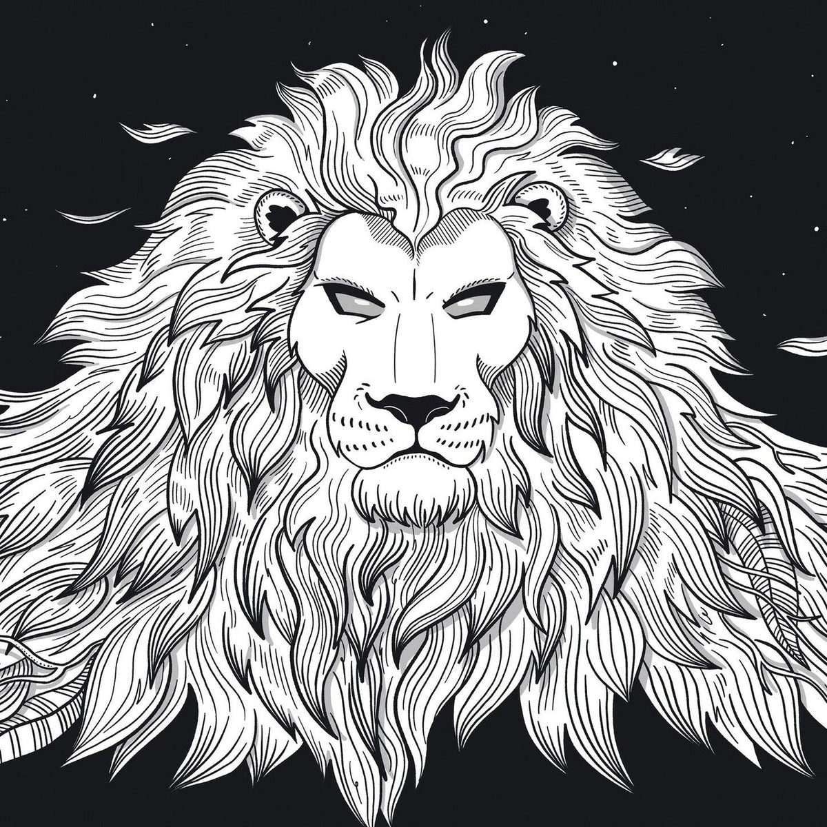Definition – Lion, The Lion vinyl record cover