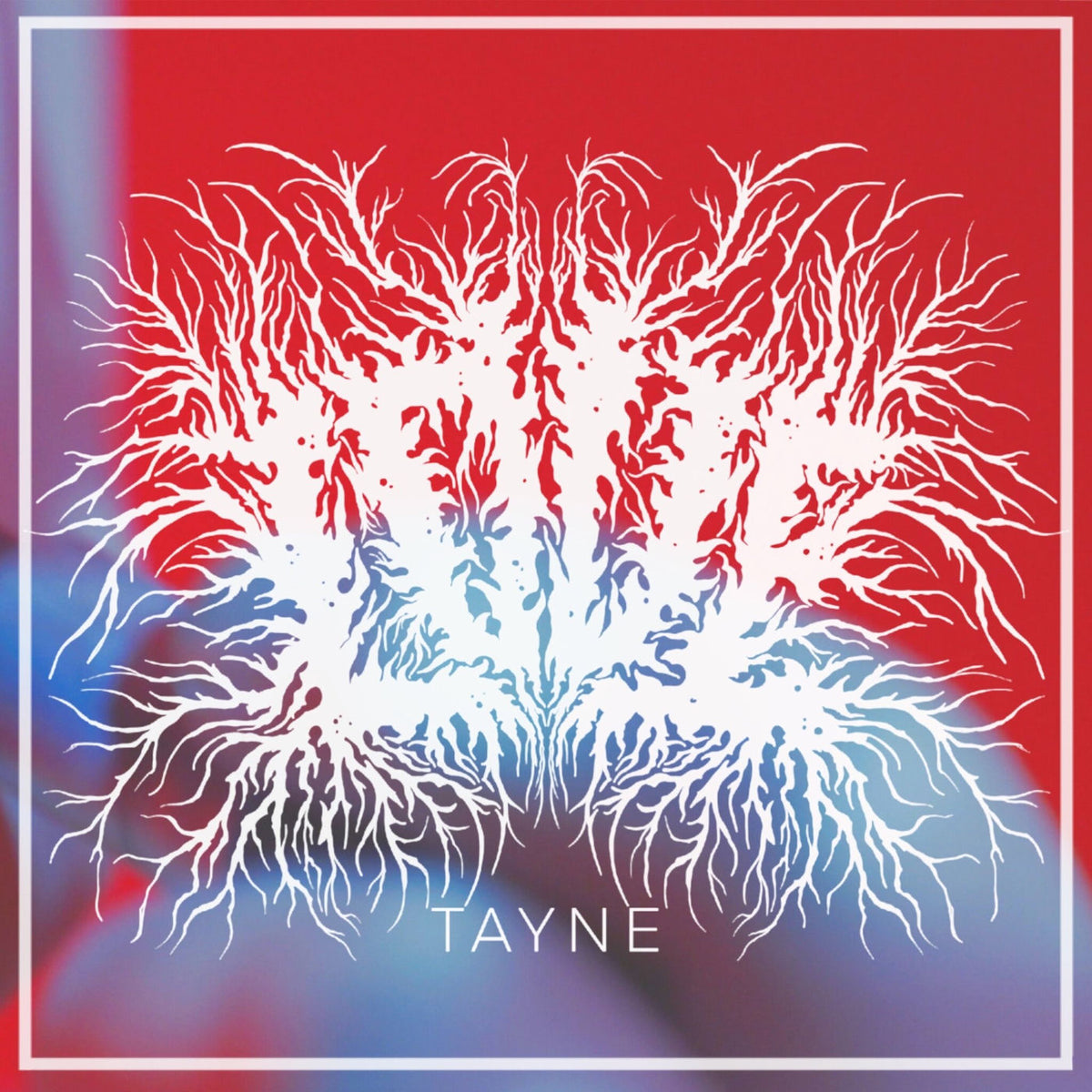 Tayne – LOVE vinyl record cover