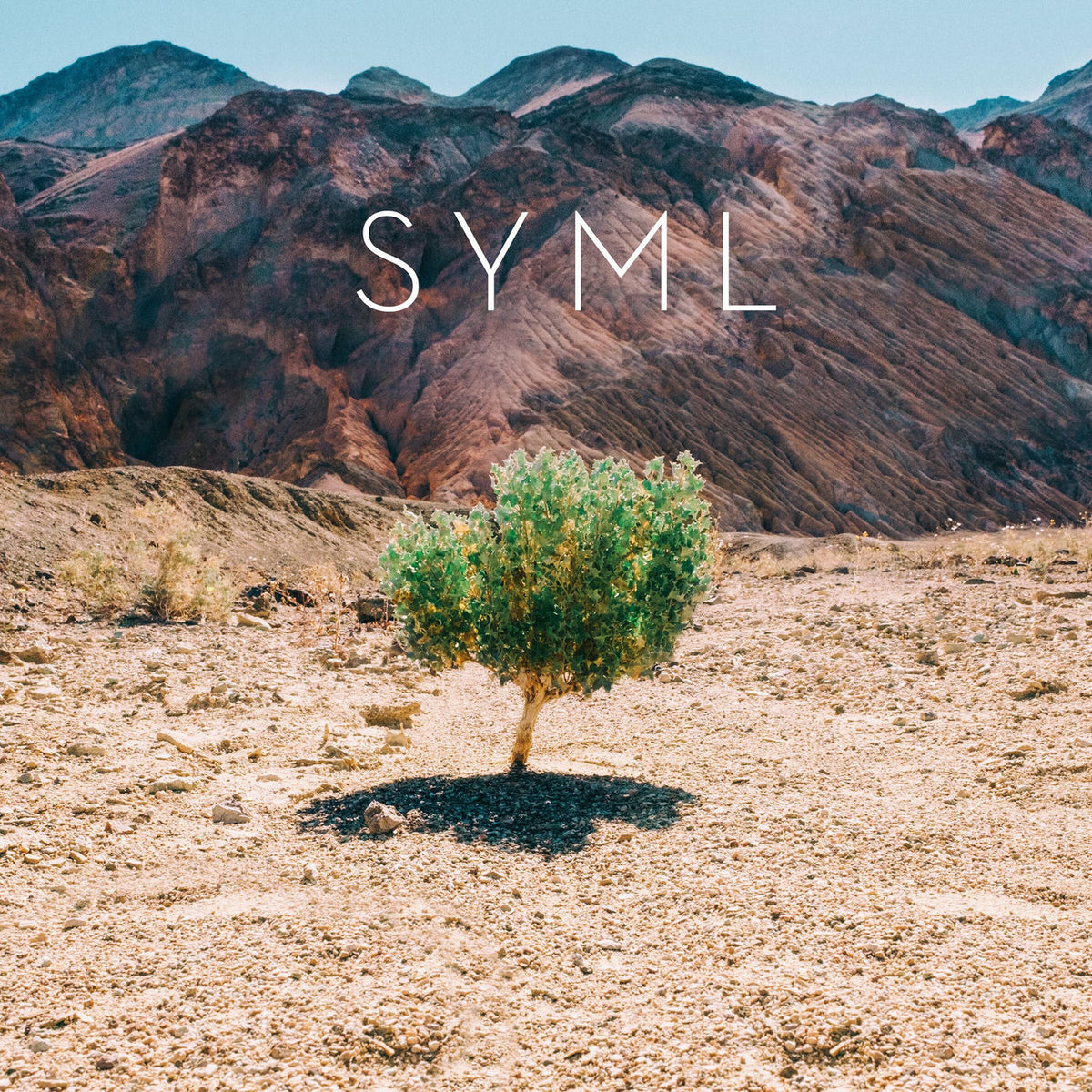 SYML – In My Body vinyl cover