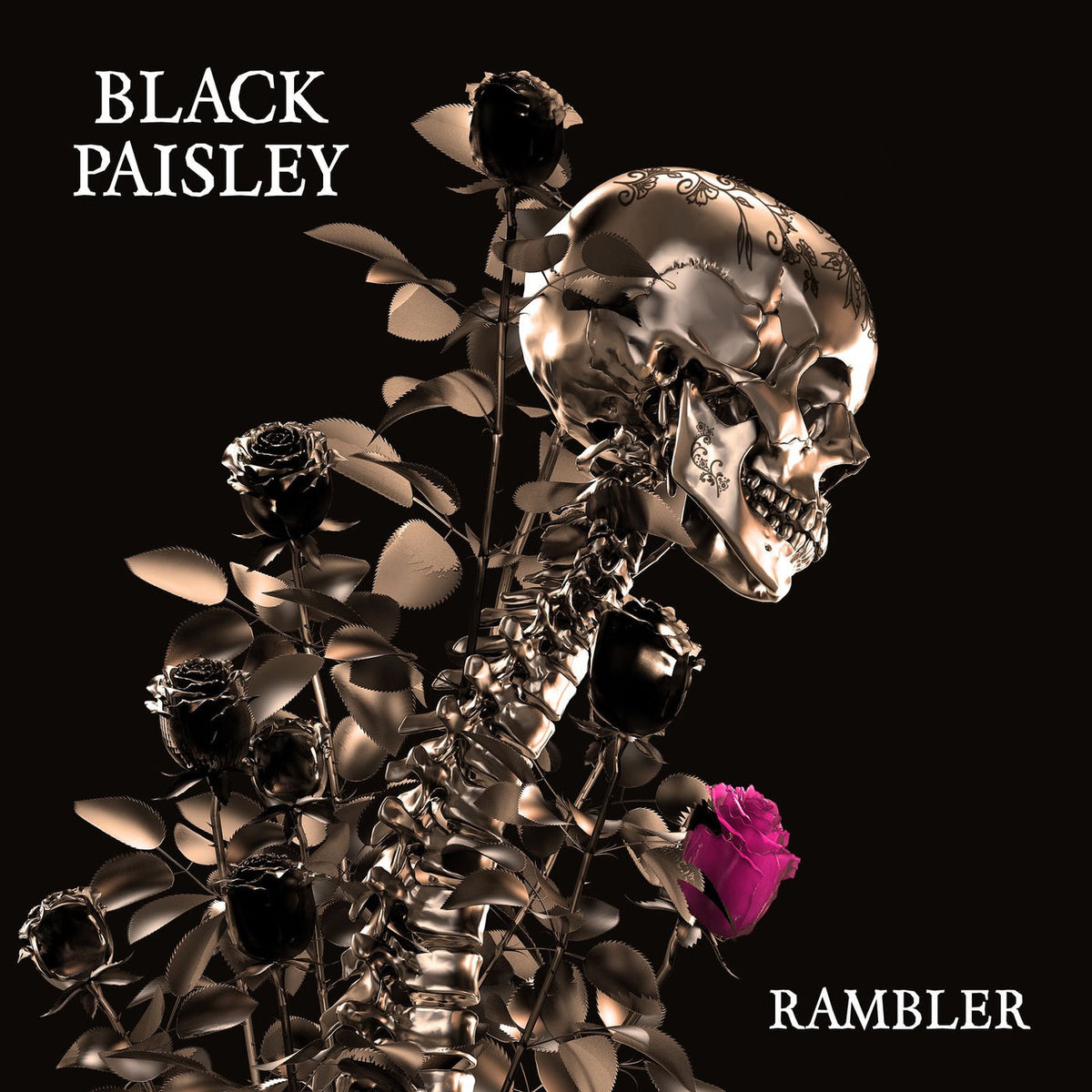 Black Paisley – Rambler vinyl record cover