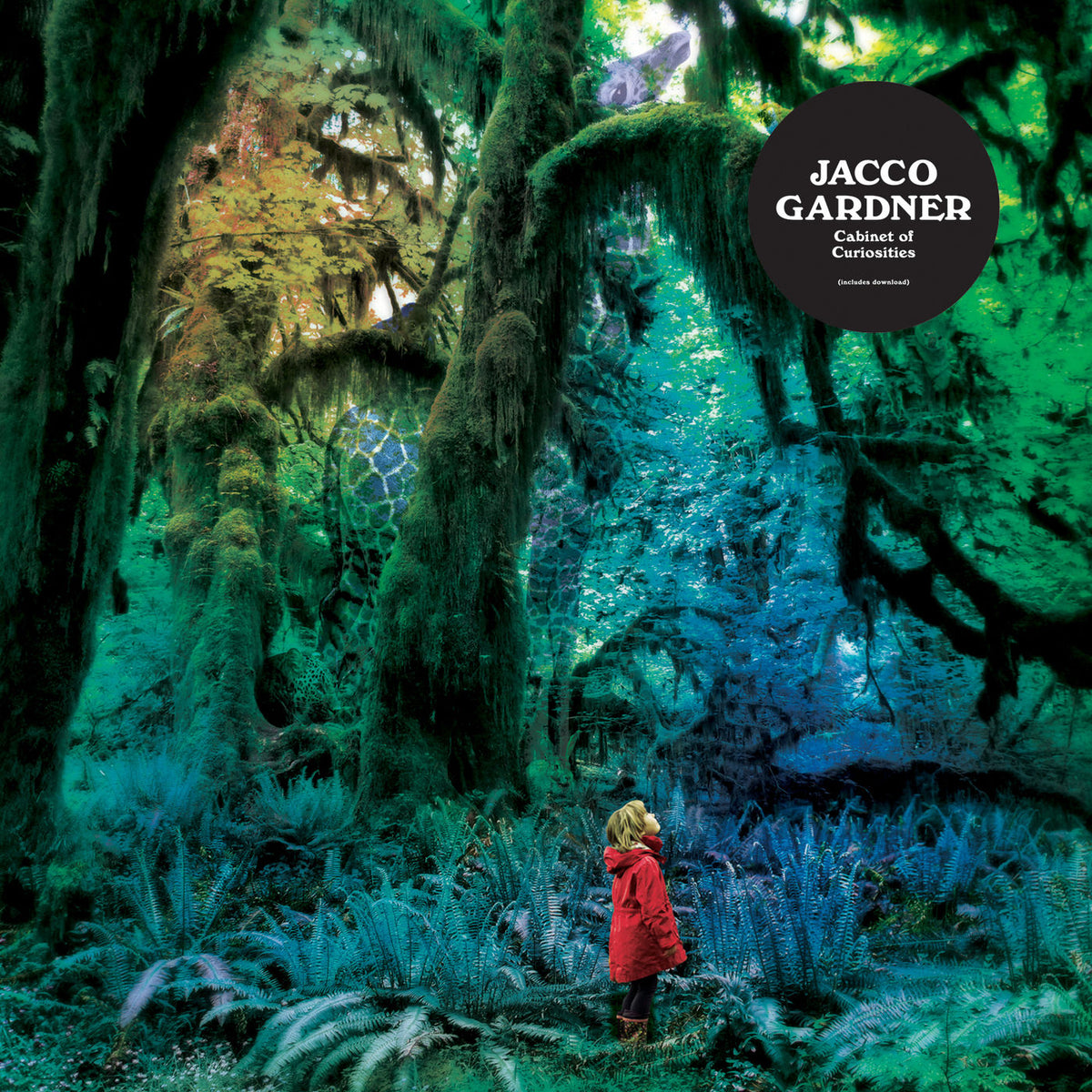 Jacco Gardner – Cabinet of Curiosities — record image 1