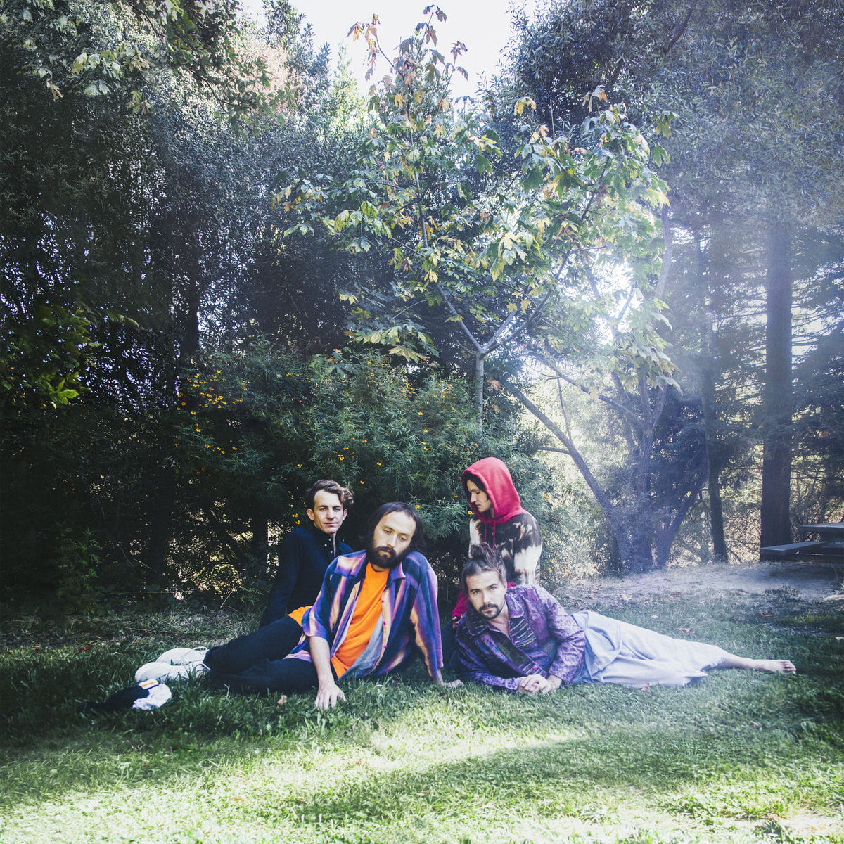 Big Thief – U.F.O.F. vinyl record cover