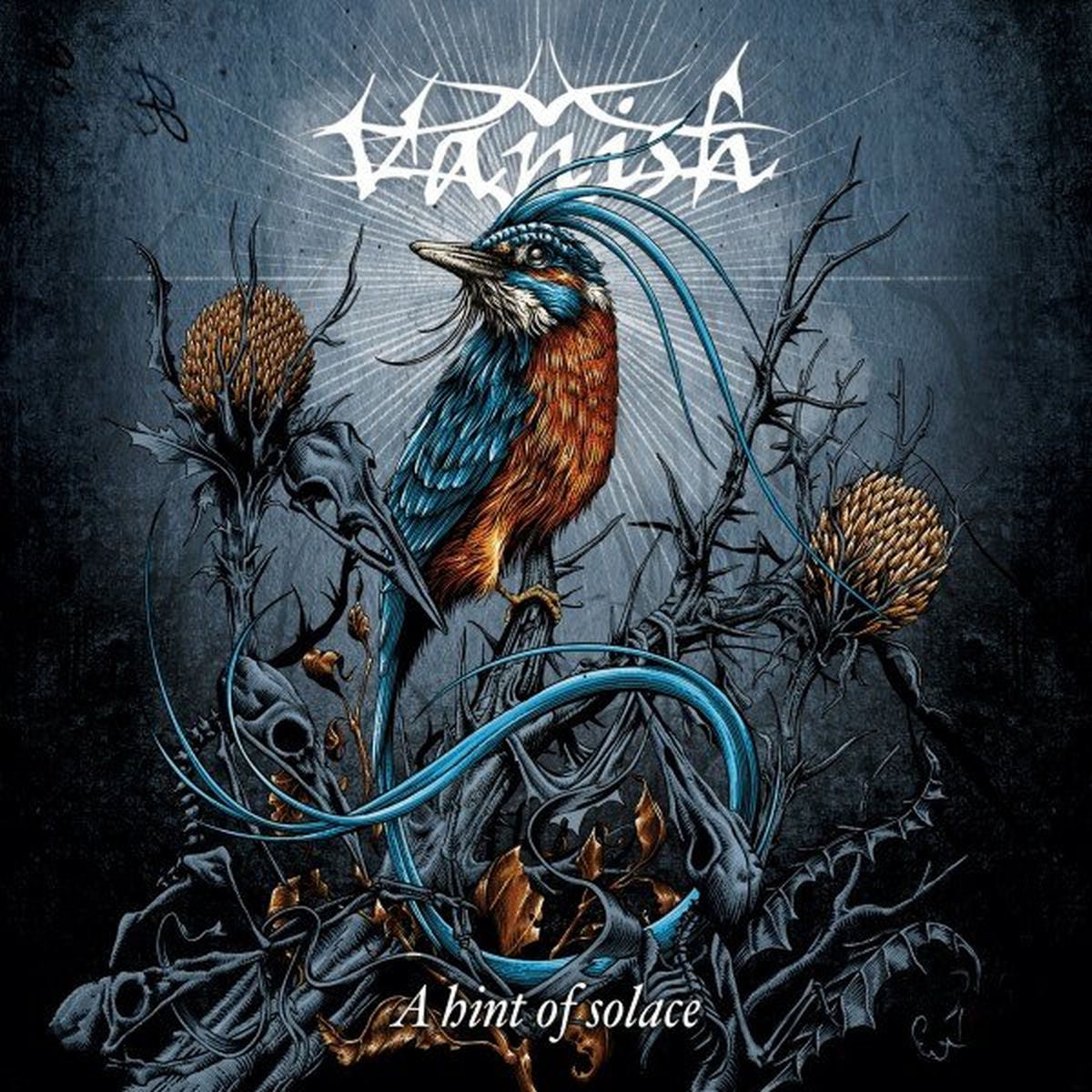 Vanish – A Hint of Solace vinyl record cover