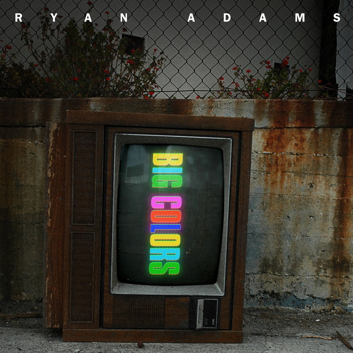 Ryan Adams – Big Colors vinyl record cover